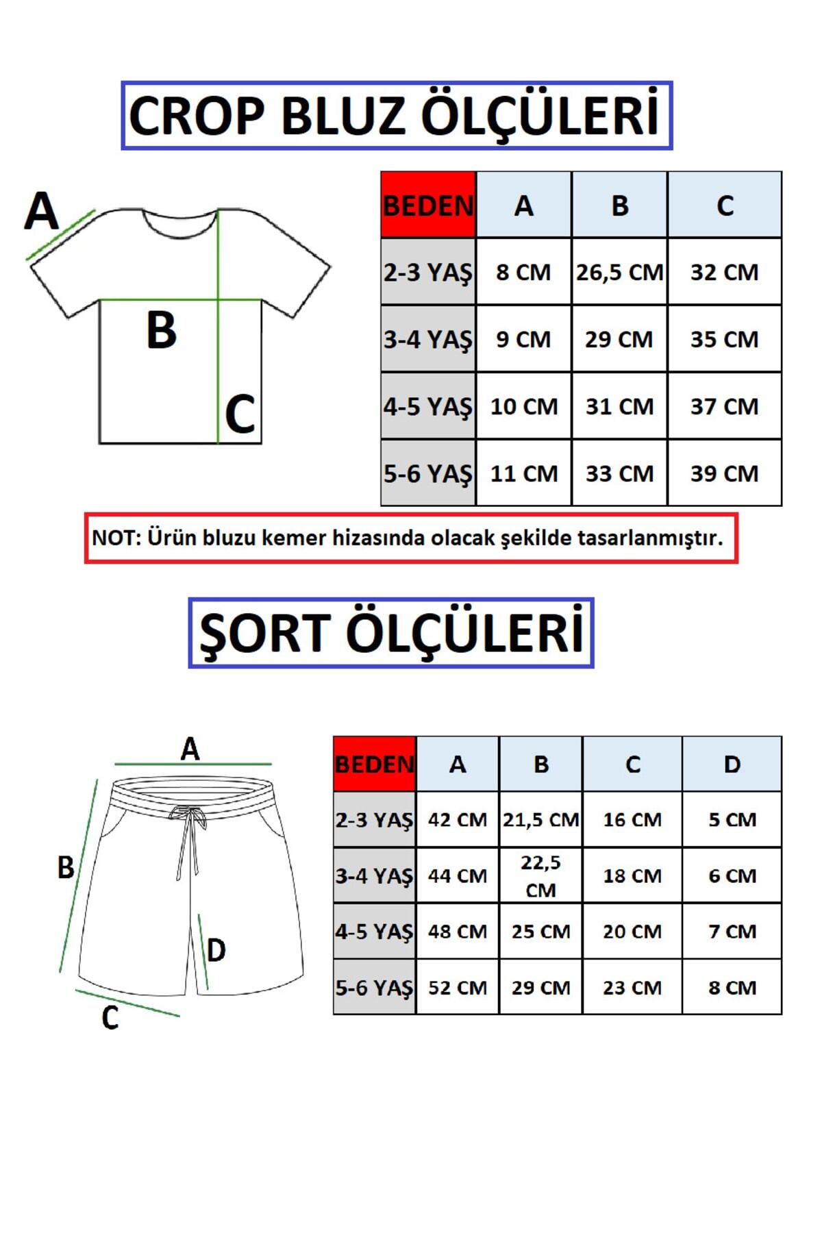 Ege Bebek Kız Çocuk Yazlık Interlok Fitilli Kumaş Çiçek Baskılı Müslin Şortlu Alt Üst Bebek Takımı fotoğrafı 7 (önizleme)