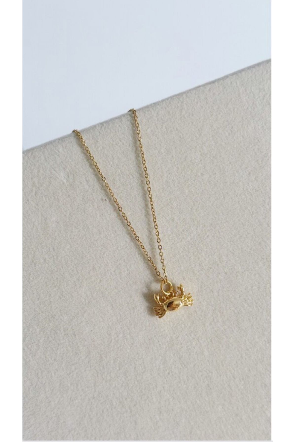 Mojo Jewellery Bay yengeç Çelik yaz kolyesi -Kararmaz