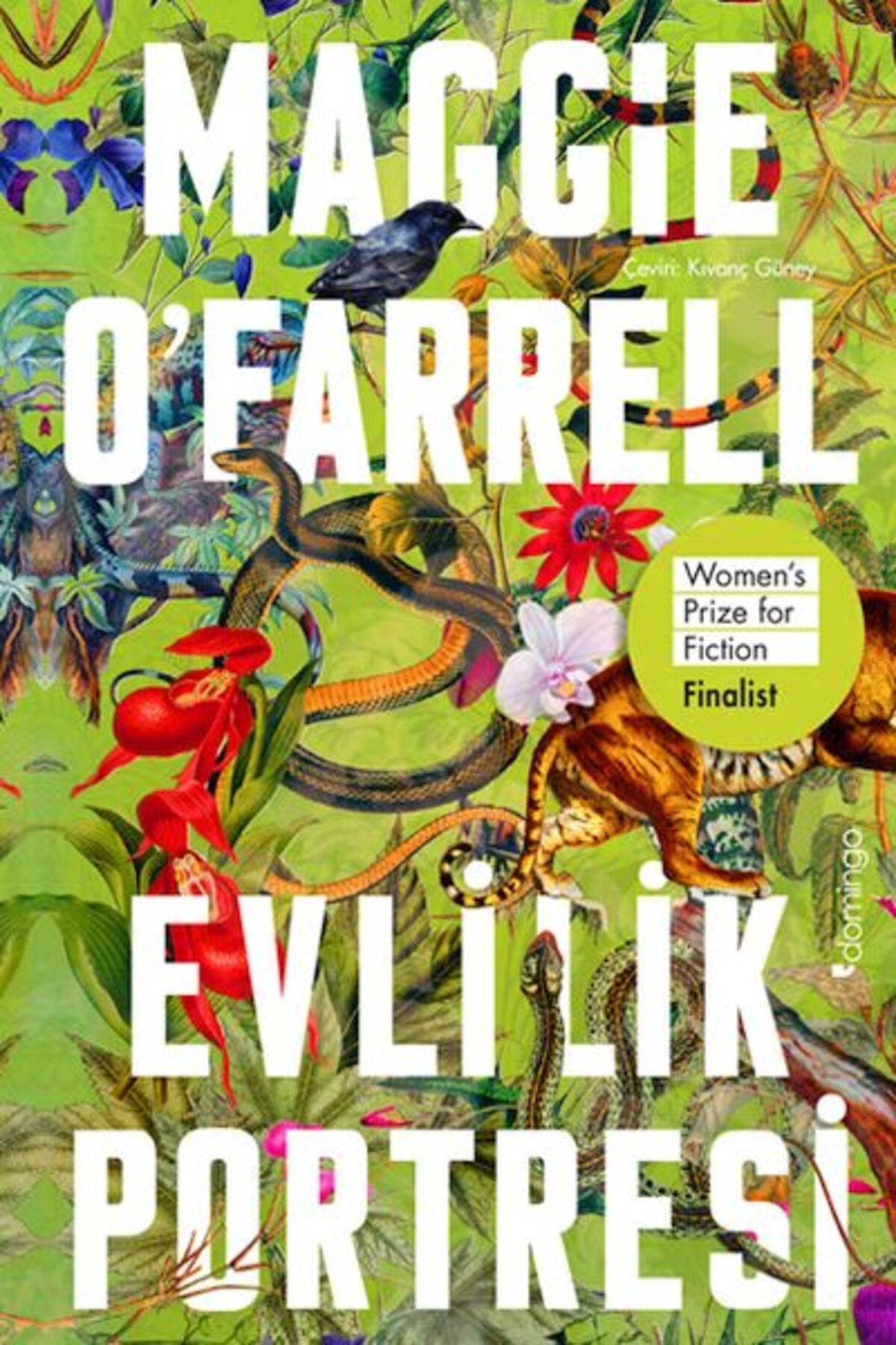 Domingo Yayınevi Evlilik Portresi