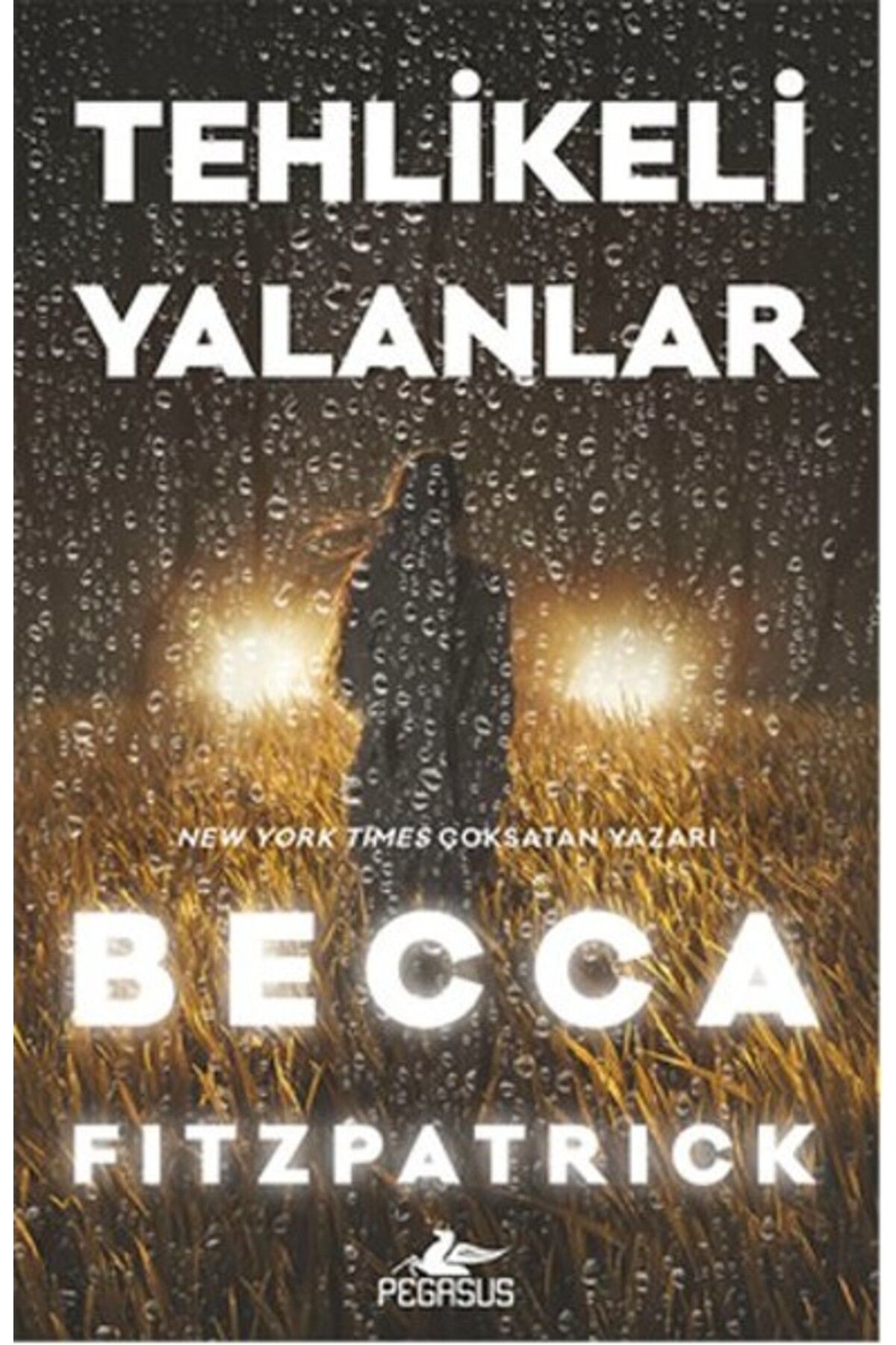 Karatay Yayınları Tehlikeli Yalanlar