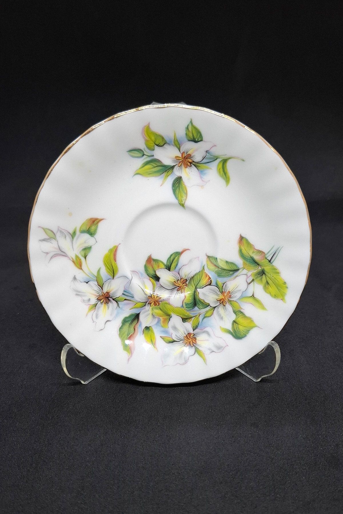 Royal Albert Bone China Yeşil Çiçekli Duble Kahve Fincanı Tabağı 12.5 cm