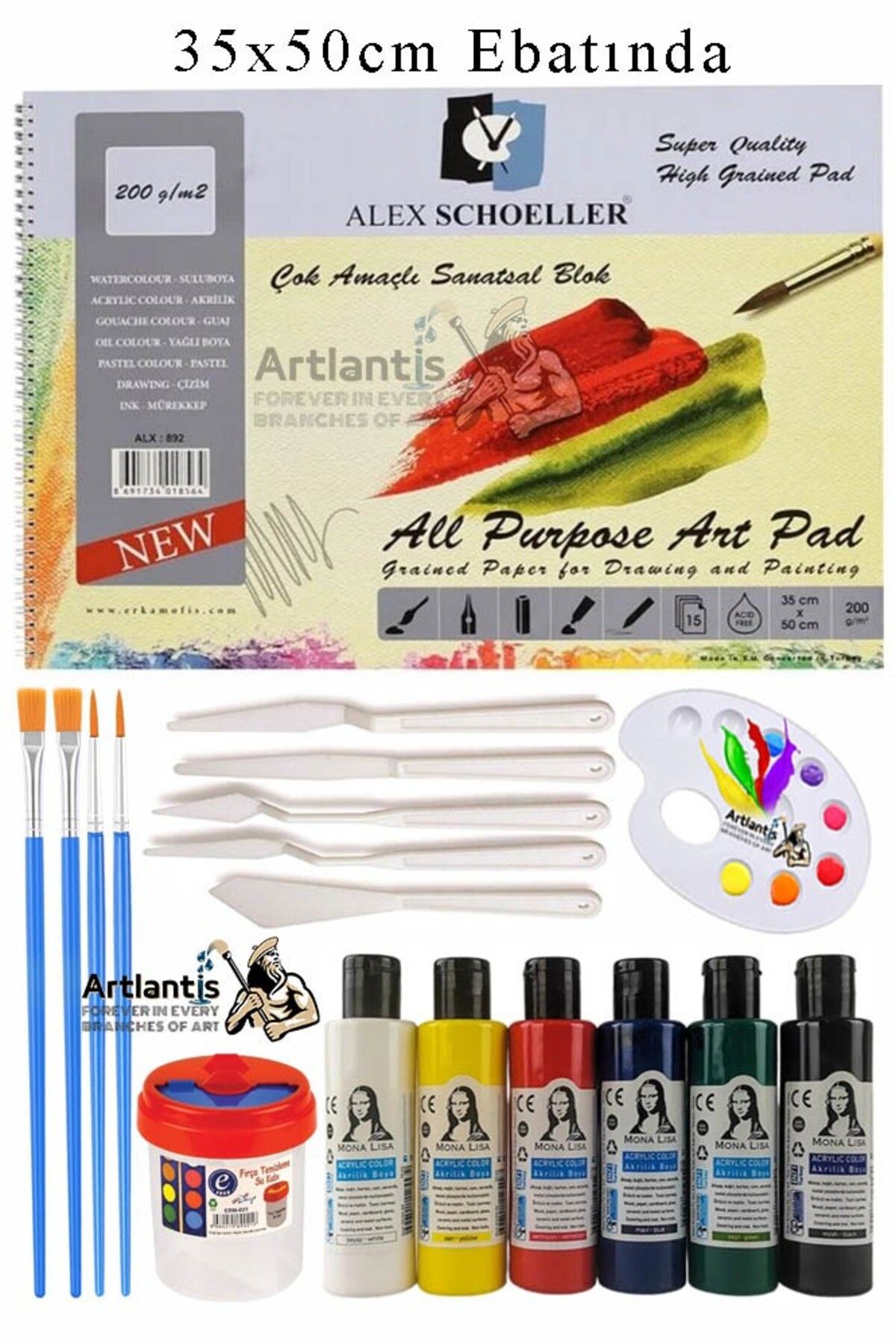 Artlantis Alex Schoeller Çok Amaçlı Sanatsal Blok 35x50 200 gr 15 Yaprak Monalisa 70 ml Akrilik Boya 6 Renk Pl