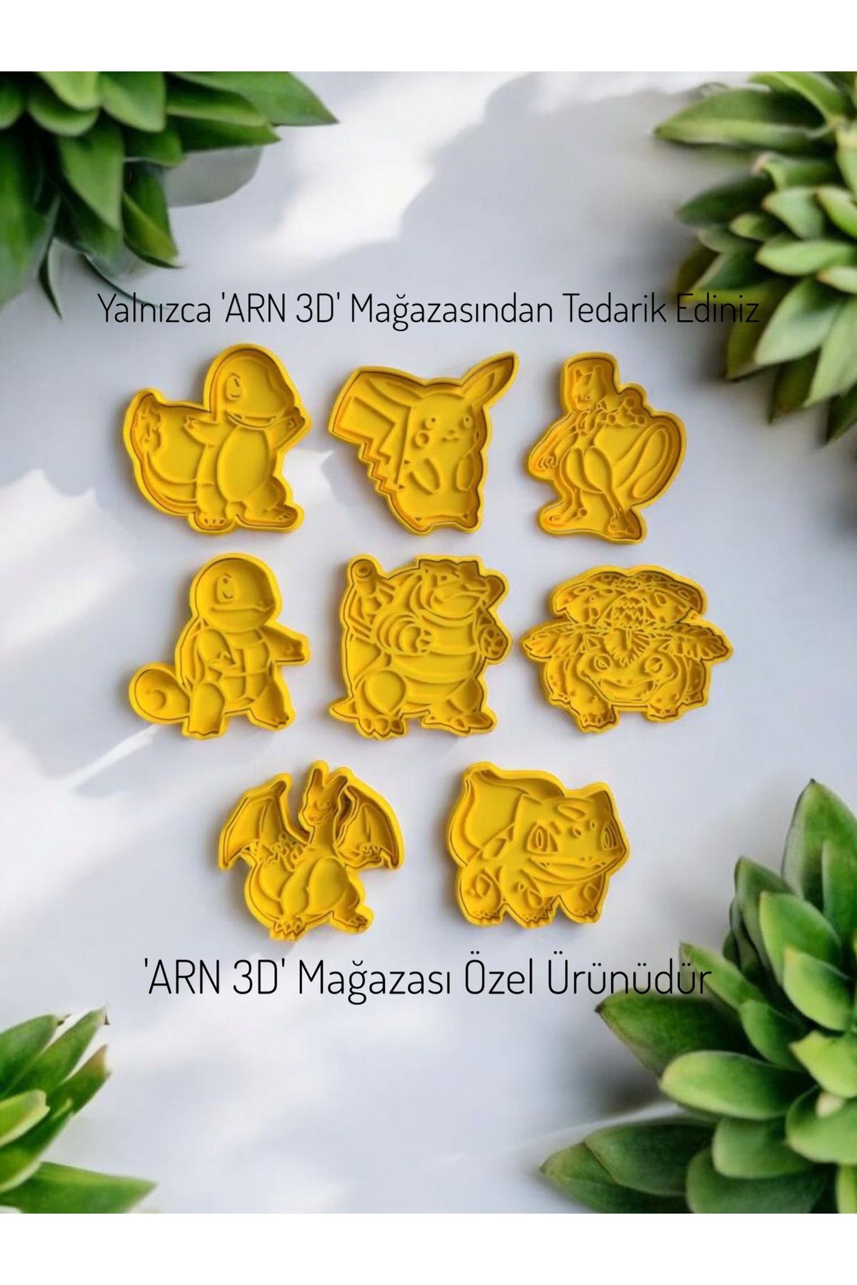 ARN 3D Pokemon Özel Seri Hamur Baskı Seti