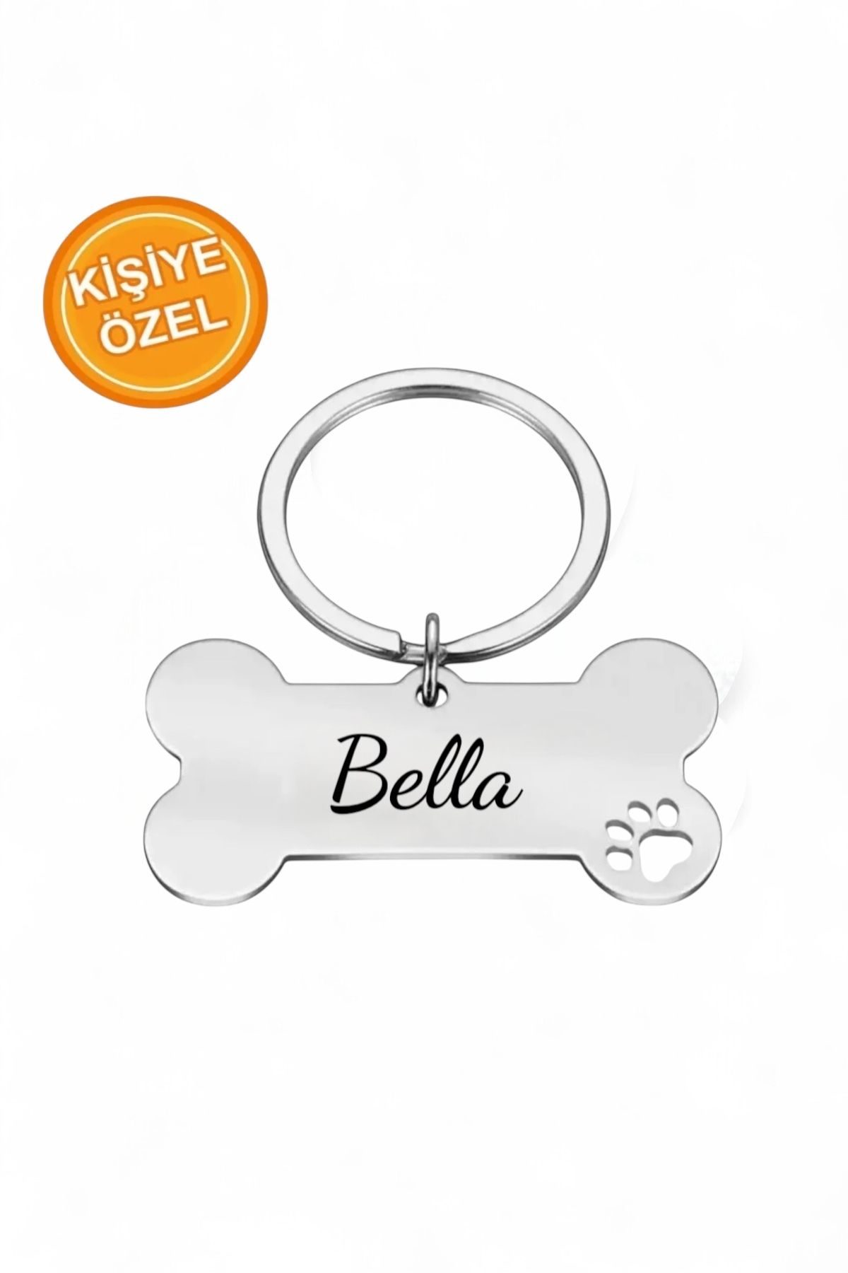 PROCAART İsme Özel Çelik Kedi Köpek İsimlik Künyesi Silver
