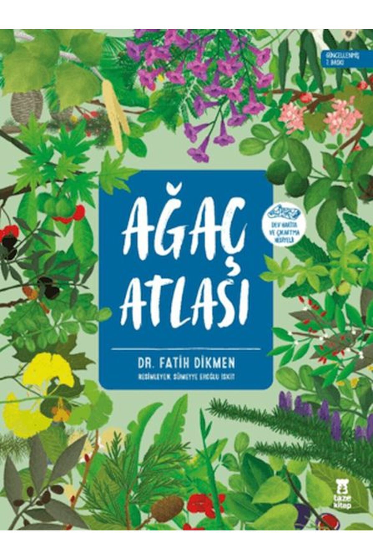 Taze Kitap Ağaç Atlası