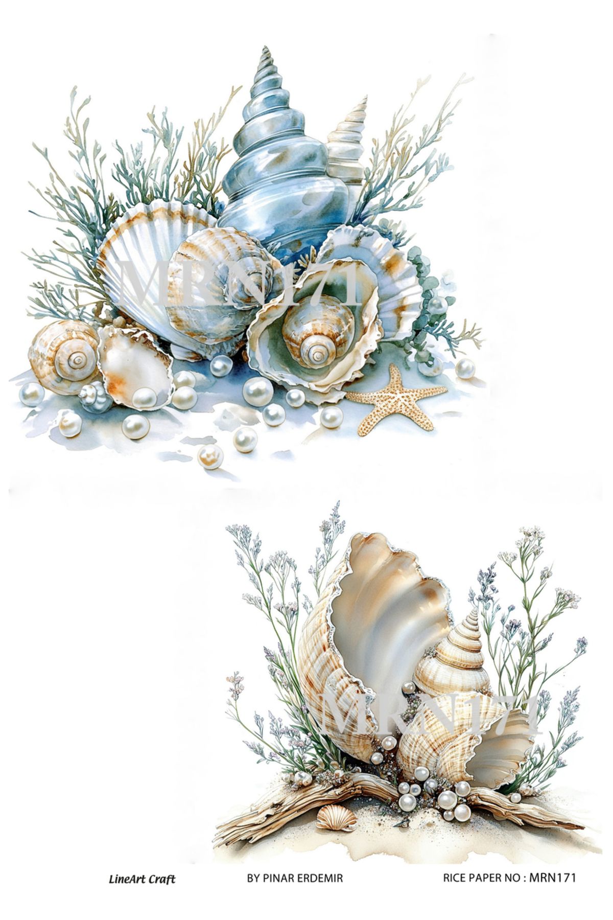 LİNEART Marine Serisi MRN171 Deniz Kabukları Desenli 29*42 cm Pirinç Dekopaj