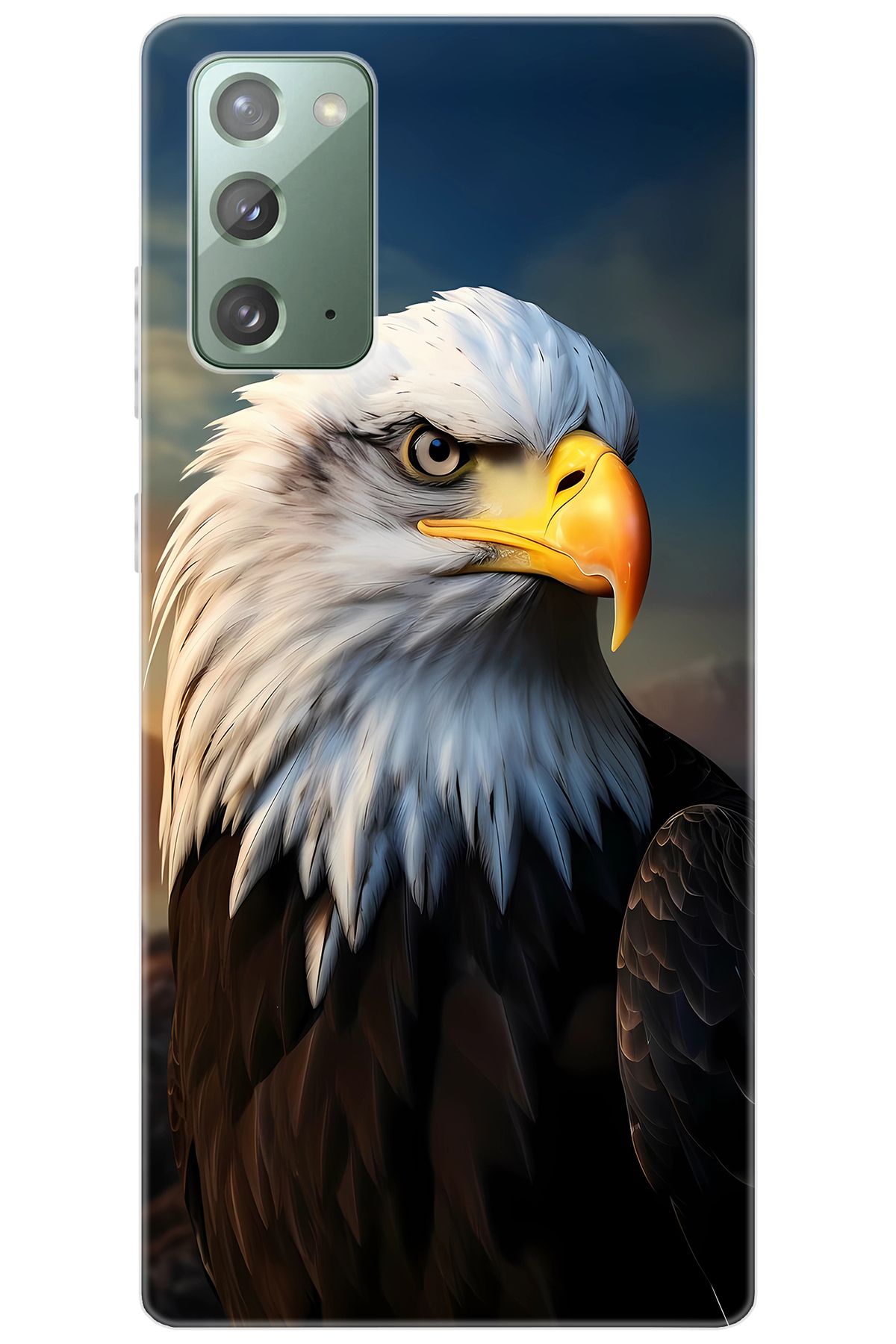 Ceppare Samsung Galaxy Note 20 (SM-N980F) Uyumlu Kılıf Desenli Silikon Kartal STK:687 CP-nfF9IKJ