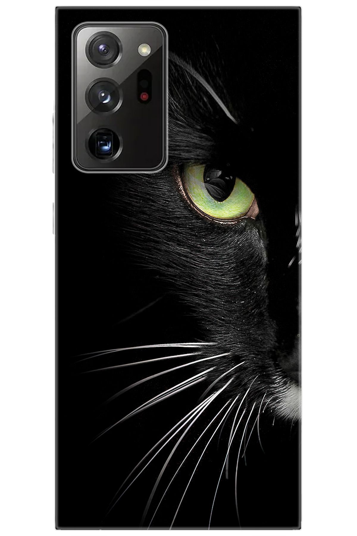 Ceppare Samsung Galaxy Note 20 ULTRA (SM-N985F) Uyumlu Kılıf Desenli Silikon Siyah Kedi STK:482 CP-mNTAjtF