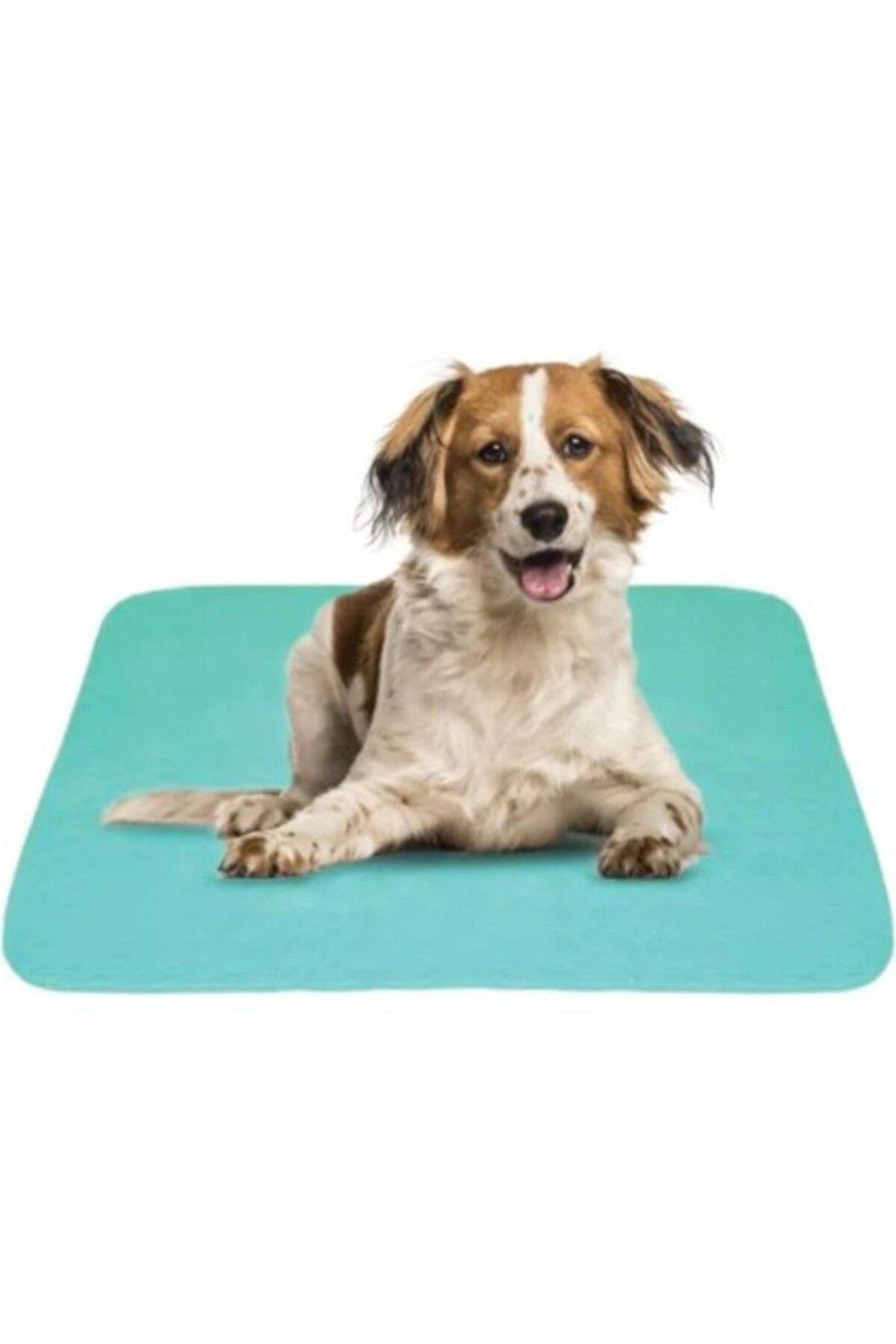 Orqinel CDE 2'li Ekonomik Paket 5 Katlı Kapitoneli, Yıkanabilir, Sıvı Geçirmez Köpek Çiş Pedi 75 x 90 cm