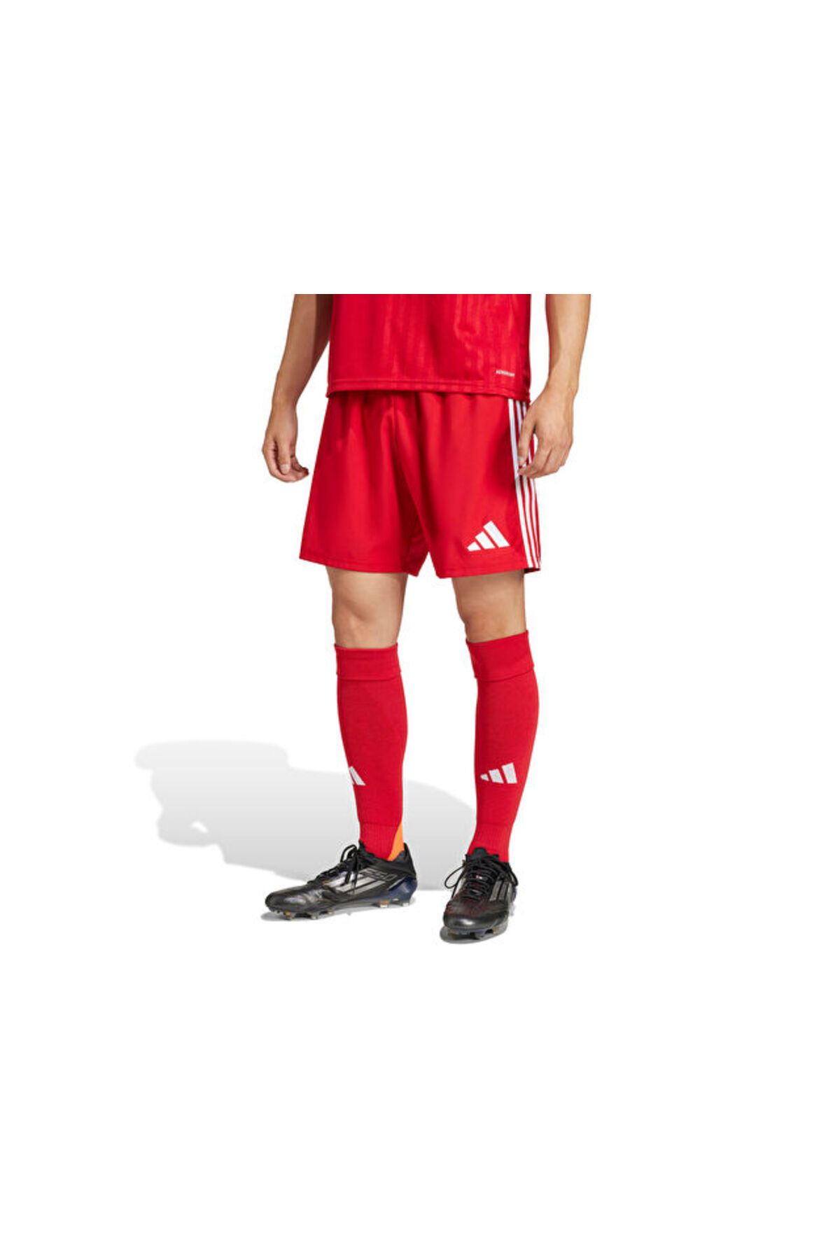 adidas Tastigo25 Sho M Erkek Futbol Antrenman Şortu JN7157 Renkli