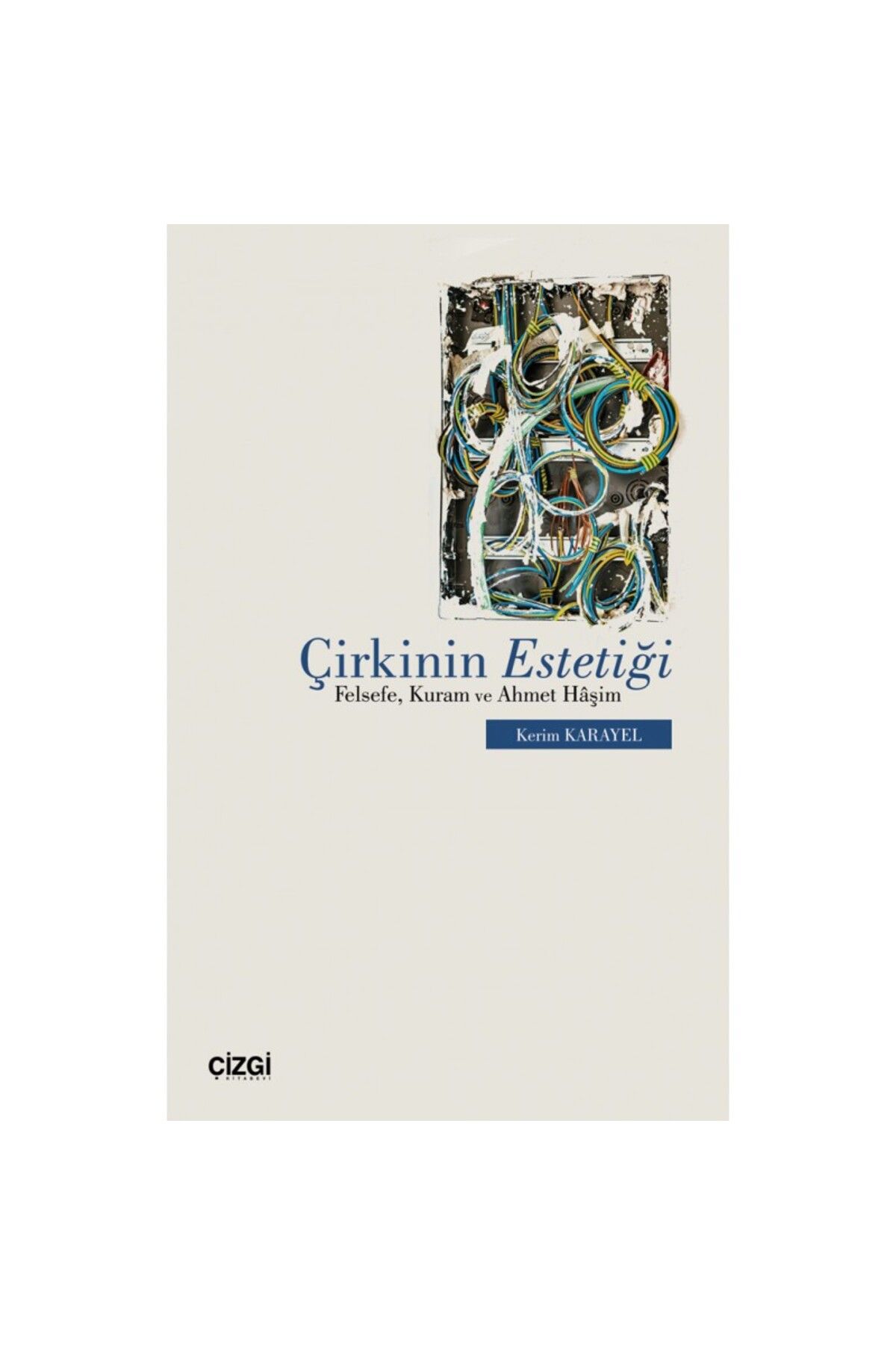 Çizgi Kitabevi Çirkinin Estetiği | Felsefe, Kuram ve Ahmet Hâşim