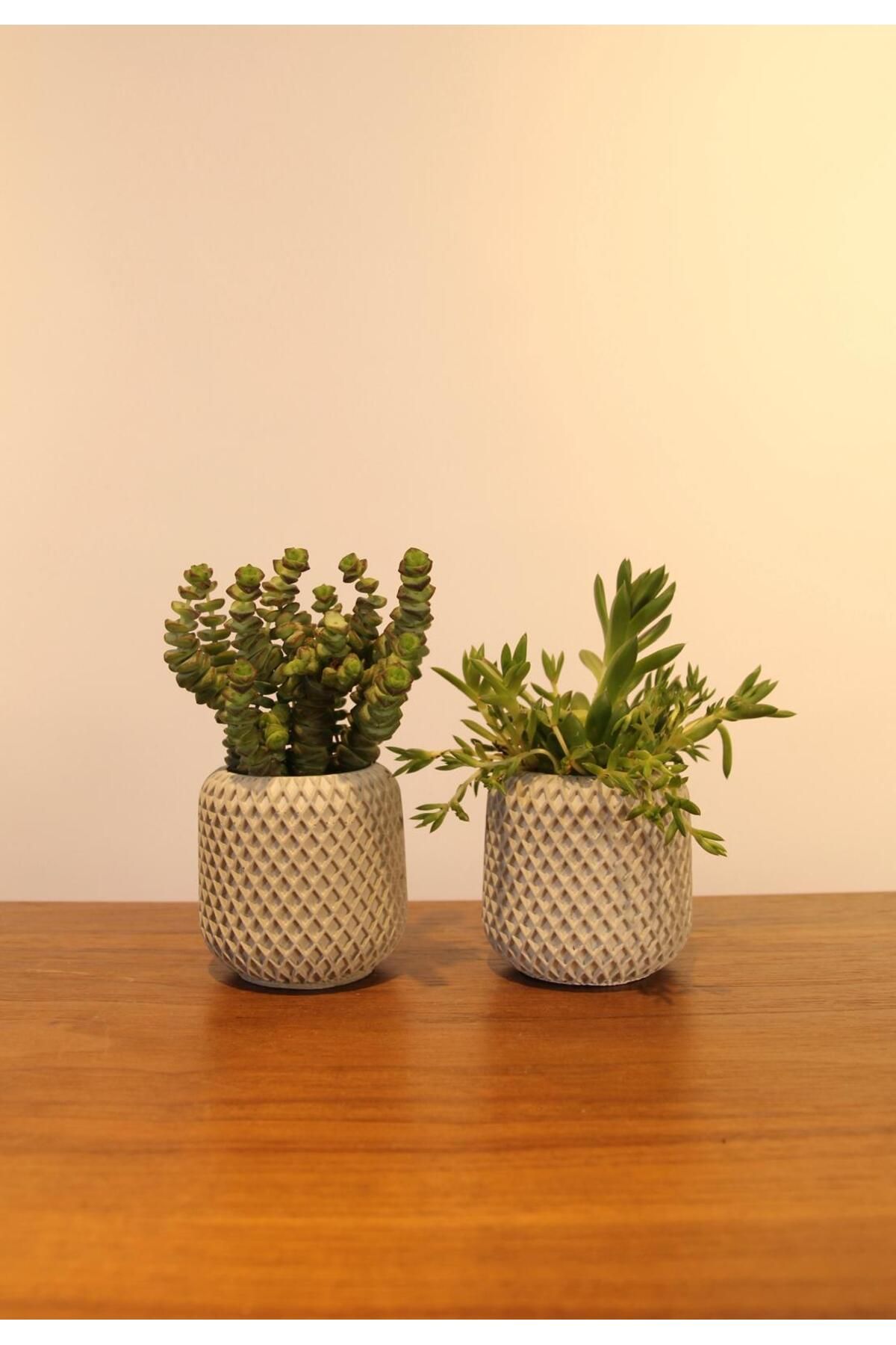 Lea Concept İkili Mini Beton Gri