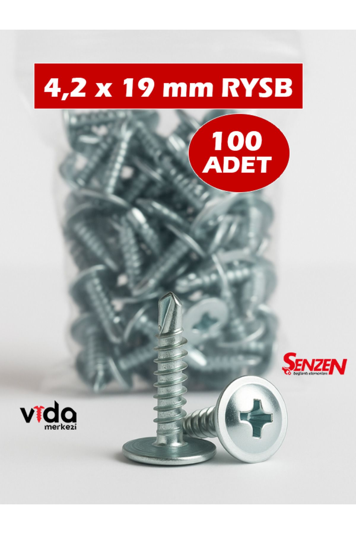 Şenzen 4,2x19 RYSB Pul Başlı Matkap Uçlu Vida 100'lü