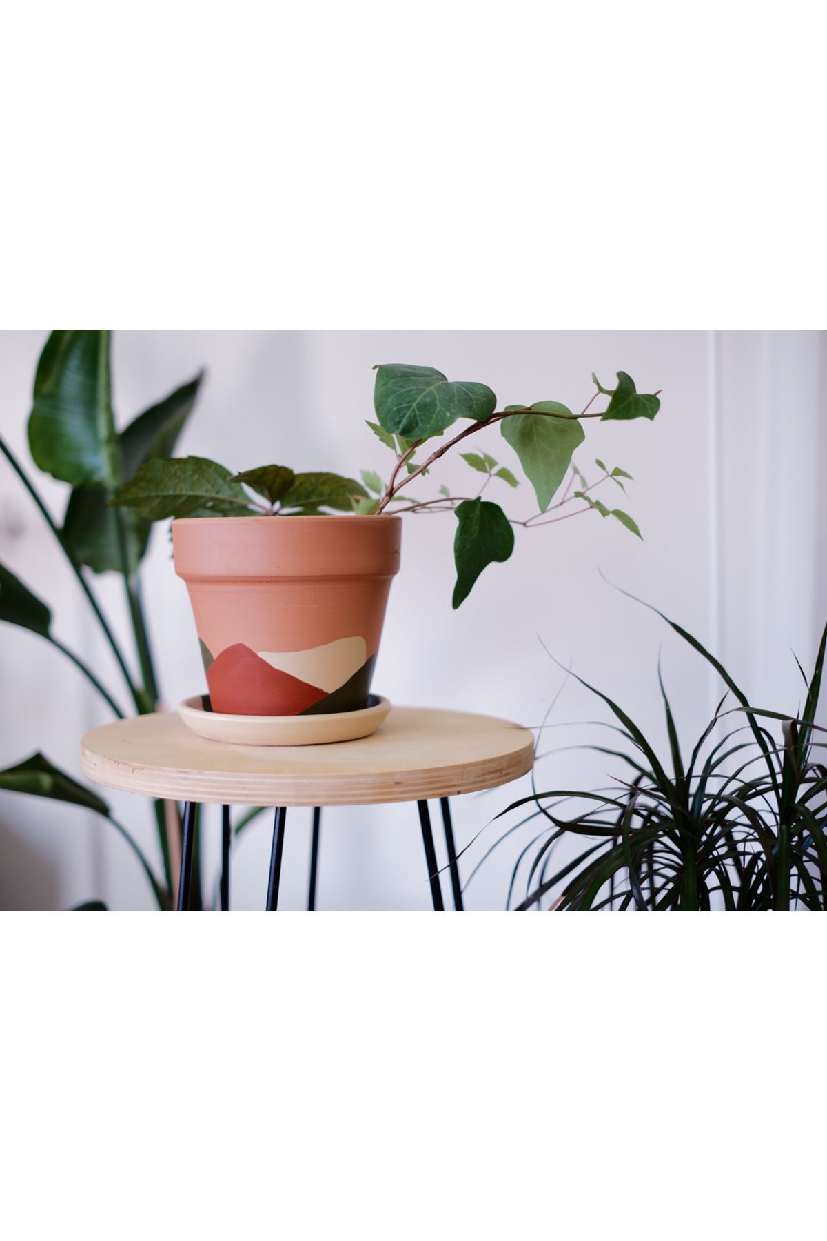 zef design store Terracotta Konik Saksı+Tabak • Abstract No.02 • 3 Farklı Boy Seçeneğiyle (Küçük Orta Büyük)