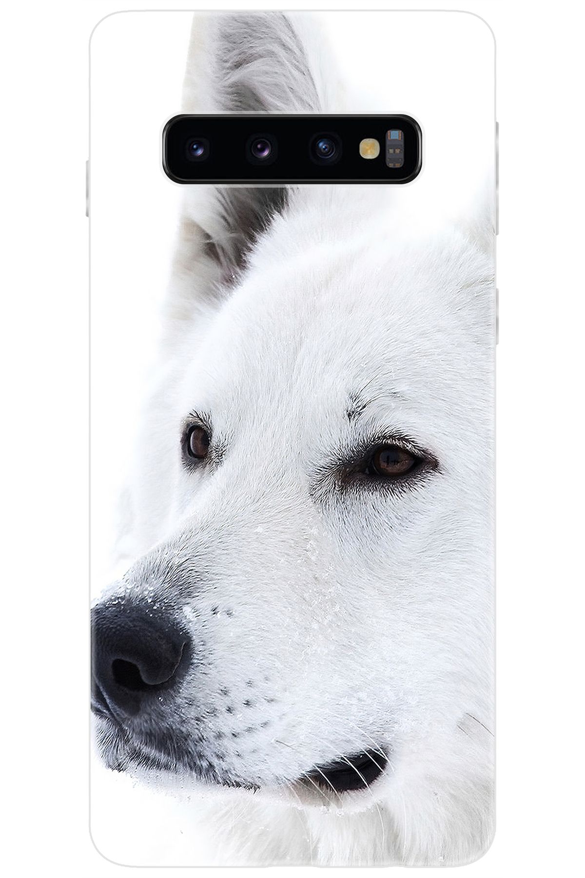Ceppare Samsung Galaxy S10 (SM-G973F) Uyumlu Kılıf Desen Baskılı Silikon Beyaz Kurt STK:169 CP-hI5EcBO