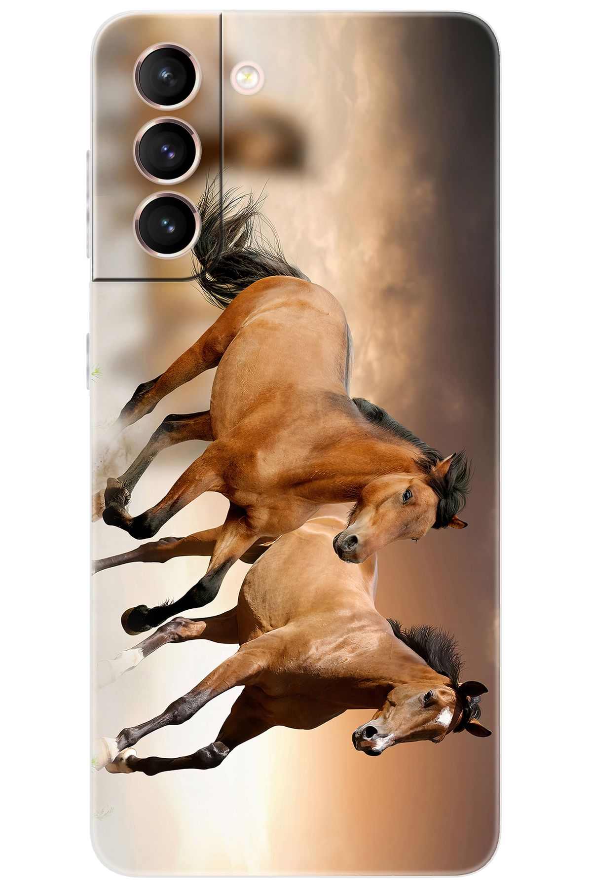 Ceppare Samsung Galaxy S21 (SM-G991B) Uyumlu Kılıf Desen Baskılı Silikon Kahve Atlar STK:176 CP-O2chIl4