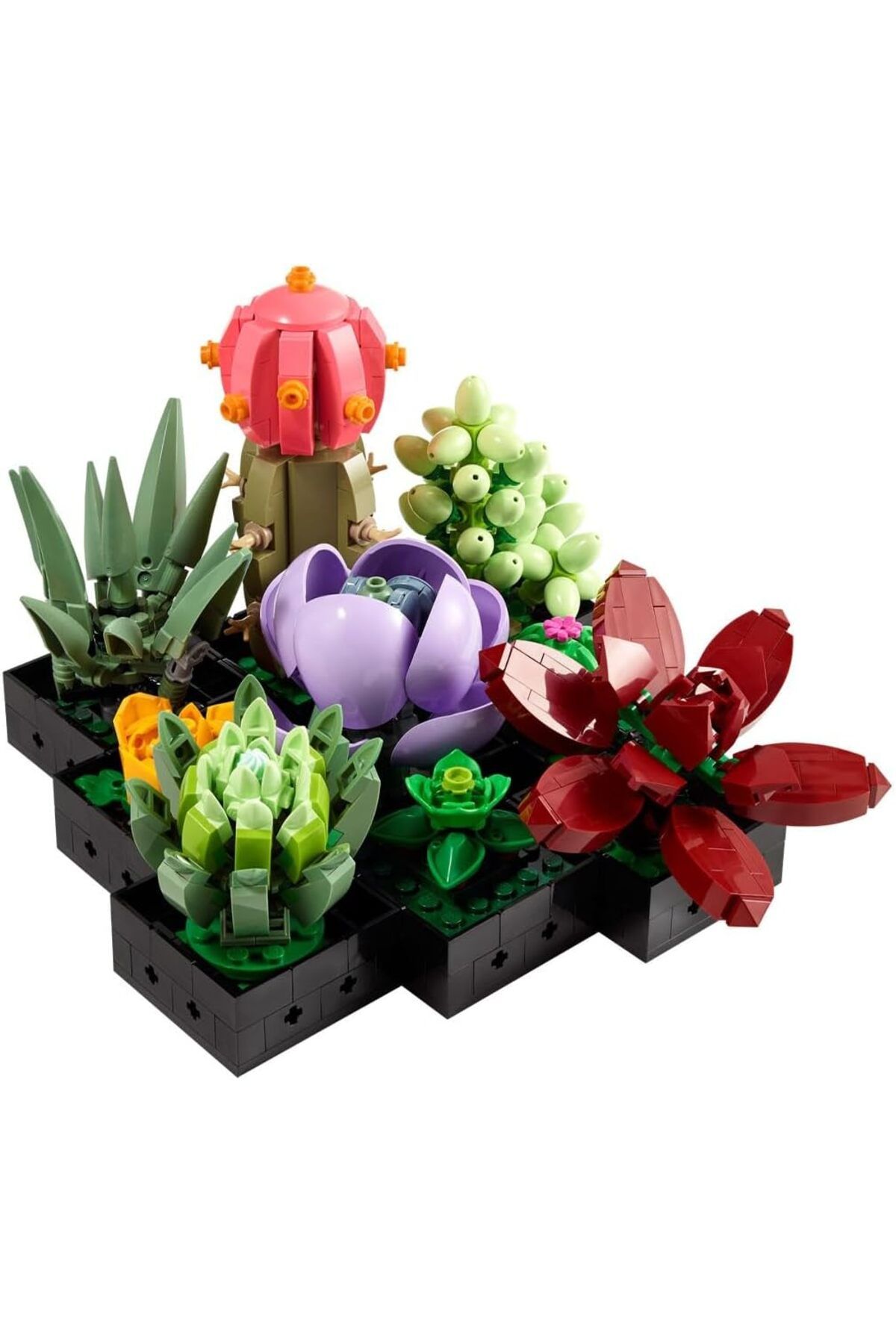 STOREMAX nffastore ICONS Sukulentler 10309 - Yetişkinler İçin LEGO Botanik Koleksiyonunun Tamamlayıcısı