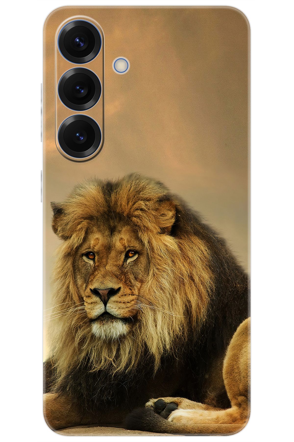 Ceppare Samsung Galaxy S25 (SM-S931B) Uyumlu Kılıf Desen Baskılı Silikon Kral Aslan STK:207 CP-WH7BDug