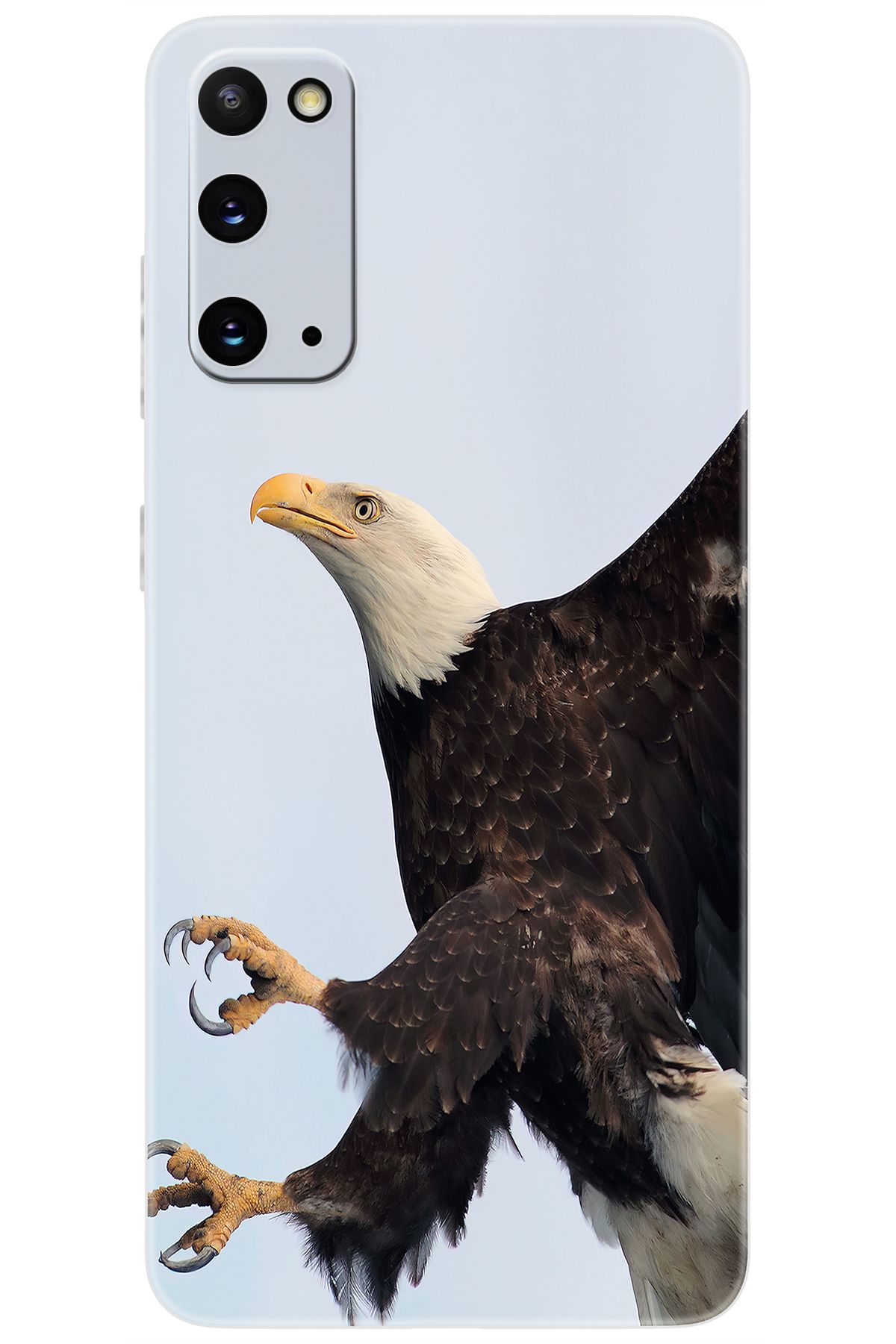 Ceppare Samsung Galaxy S20 (SM-G980F) Uyumlu Kılıf Desen Baskılı Silikon Kartal STK:189 CP-O4TEXka