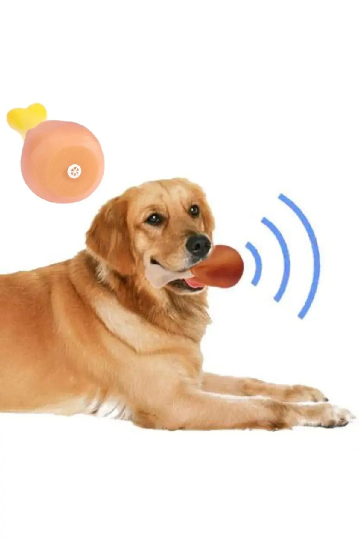 Shopyzone Köpekler İçin Sesli Oyuncak Tavuk Butu
