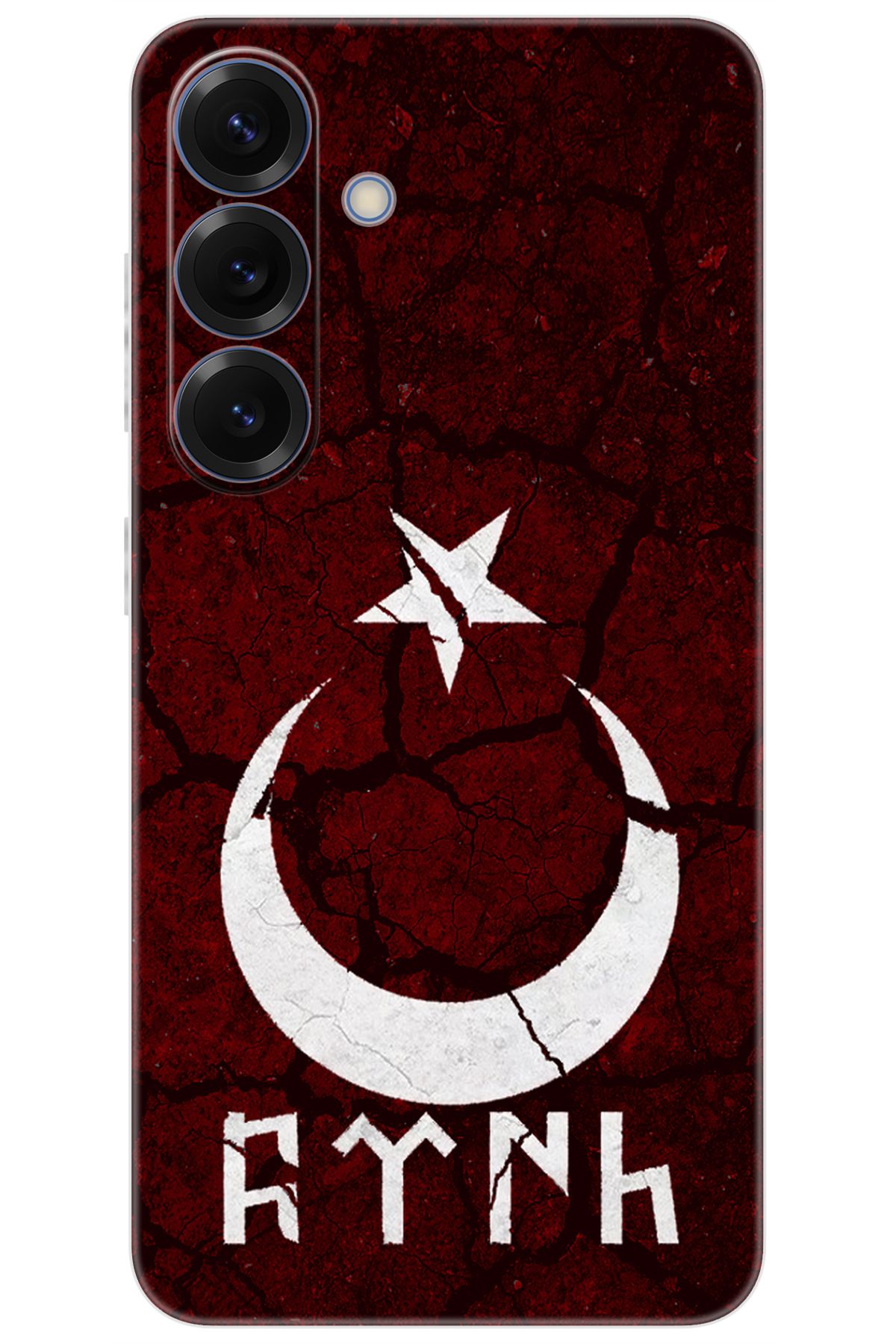 Ceppare Samsung Galaxy S25 (SM-S931B) Uyumlu Kılıf Desen Baskılı Silikon Göktürkçe Türk STK:386 CP-pDYIFCY