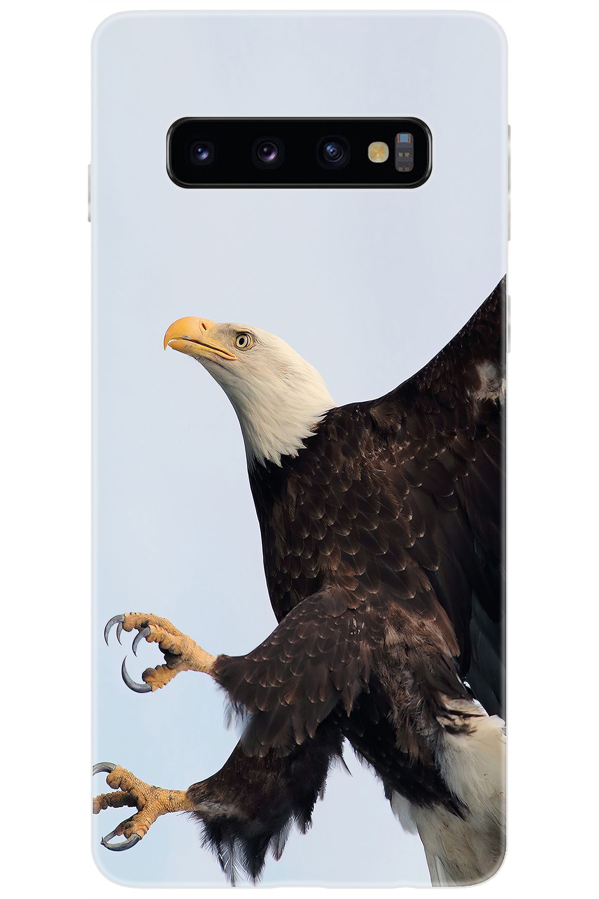 Ceppare Samsung Galaxy S10 (SM-G973F) Uyumlu Kılıf Desen Baskılı Silikon Kartal STK:189 CP-rhq2lzT