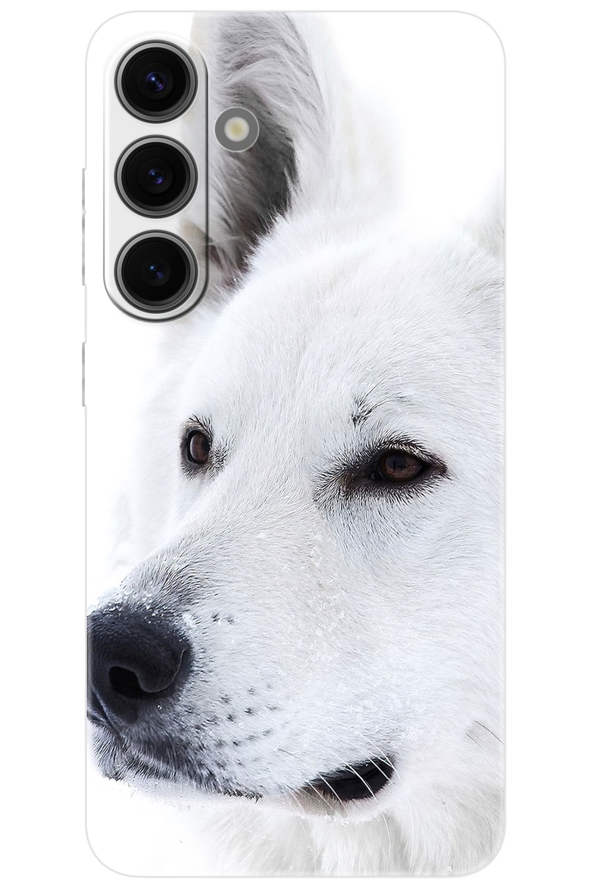 Ceppare Samsung Galaxy S24 (SM-S921B) Uyumlu Kılıf Desen Baskılı Silikon Beyaz Kurt STK:169 CP-AQ6T58L