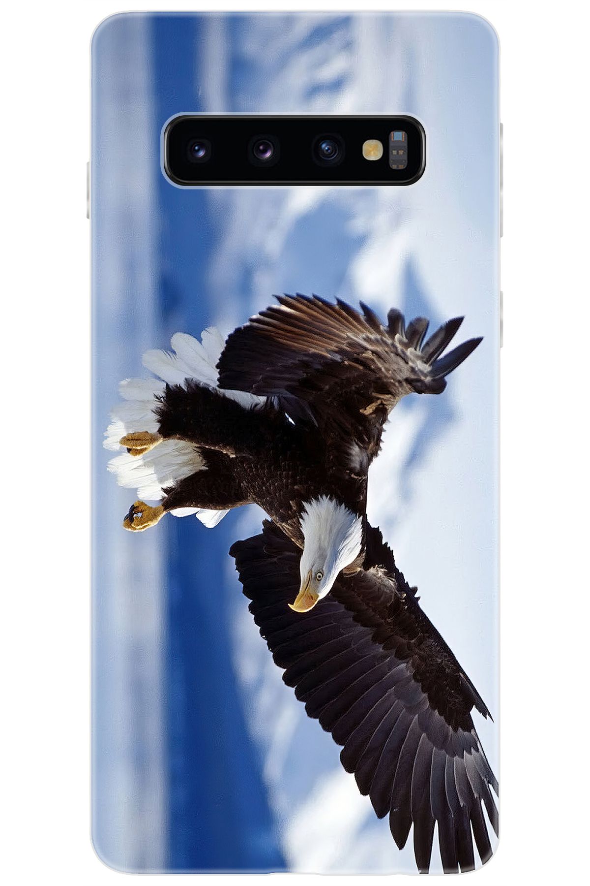 Ceppare Samsung Galaxy S10 (SM-G973F) Uyumlu Kılıf Desen Baskılı Silikon Kartal STK:183 CP-7g4CBUb
