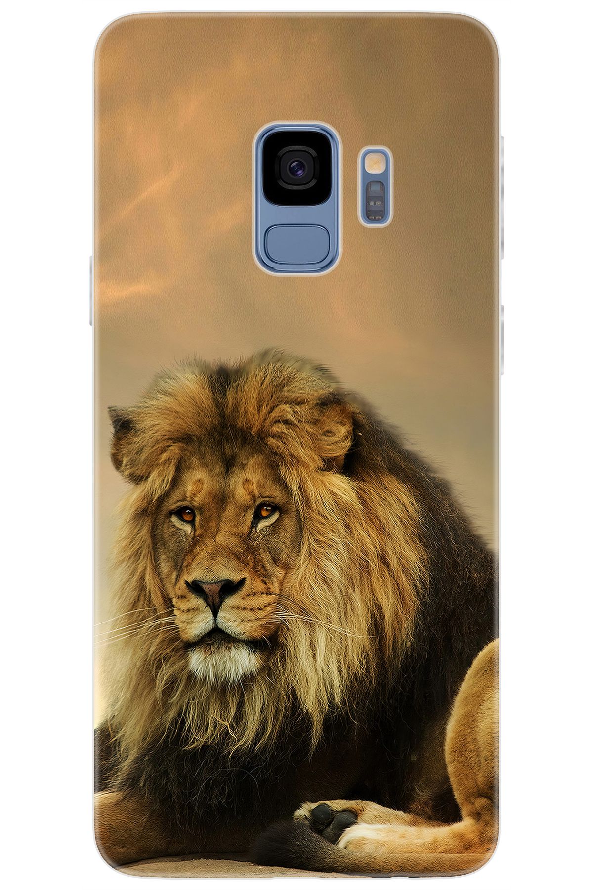 Ceppare Samsung Galaxy S9 (SM-G960F) Uyumlu Kılıf Desen Baskılı Silikon Kral Aslan STK:207 CP-UAWrQPP