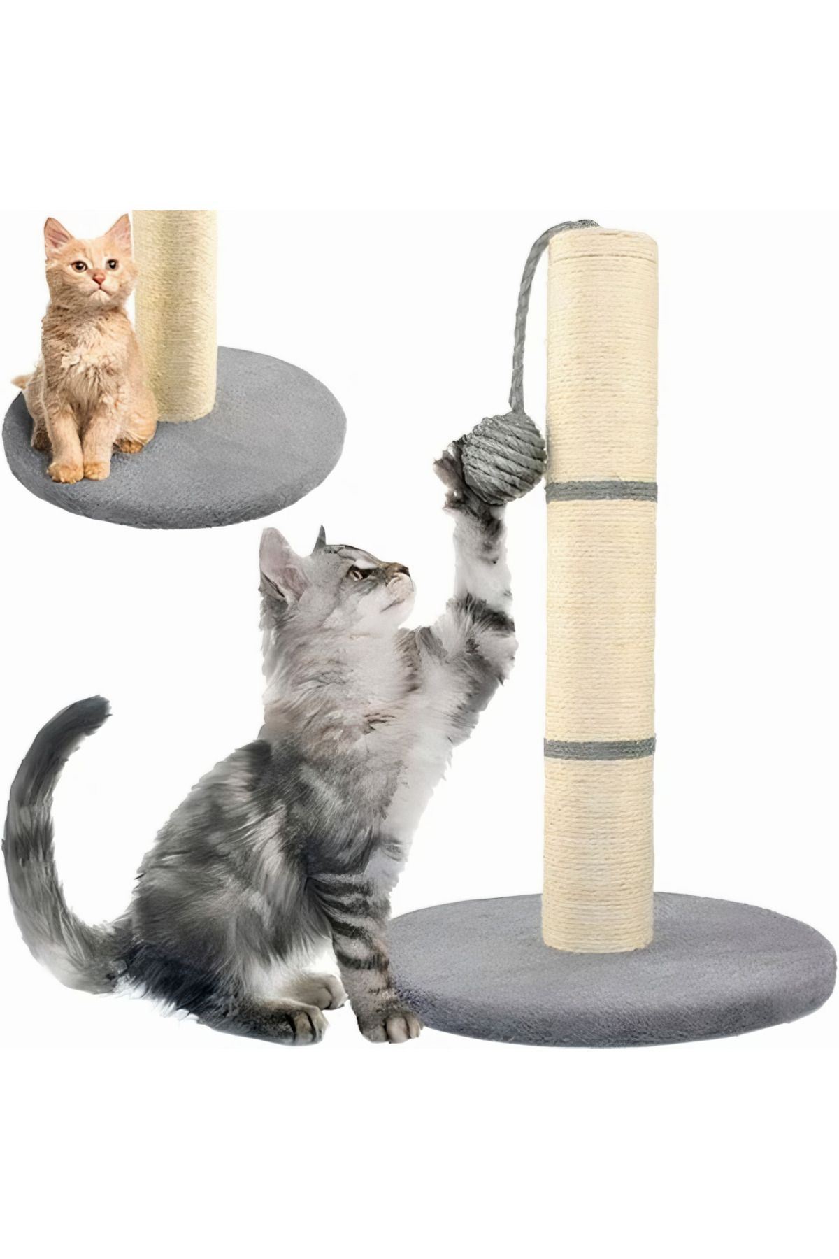 varioshop-VarioShop® sharp claw holder and cat toy, pole with string and ball, with function to 4