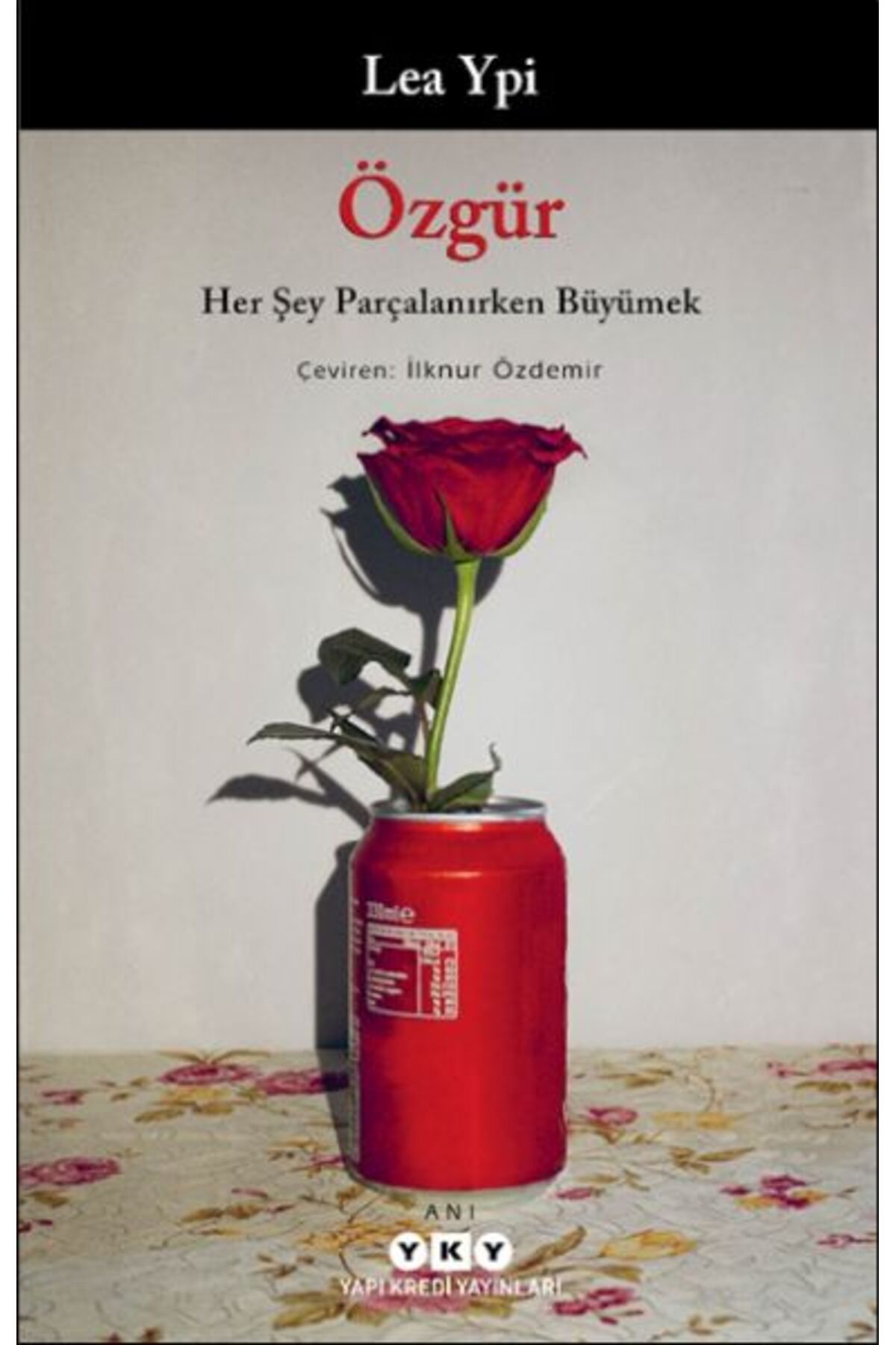 Destek Yayınları Özgür Her Şey Parçalanırken Büyümek