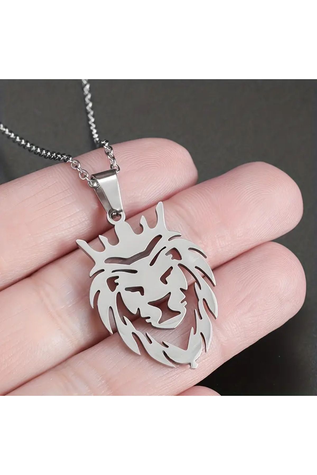 Fashionjewelery Aslan Kolye Silver