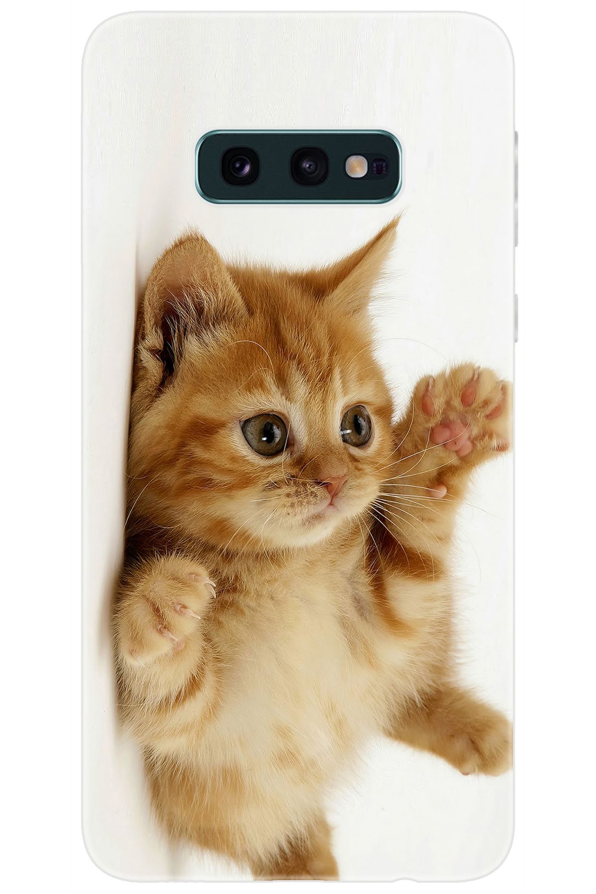 Ceppare Samsung Galaxy S10E (SM-G970F) Uyumlu Kılıf Desen Baskılı Silikon Sevimli Kedi STK:205 CP-cuVlqfz
