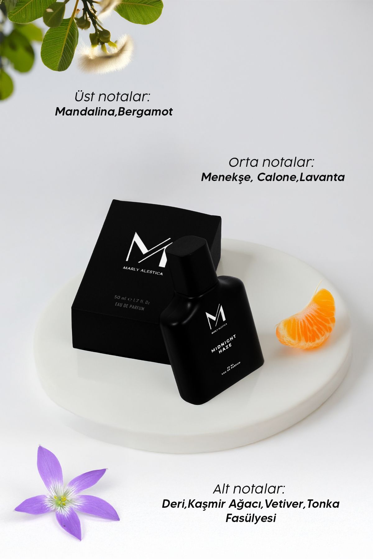 MARLY ALESTICA PARFUME TSUNAMI LANO-M110 Erkek Parfümü 50 ml – EDP – Uzun Kalıcılık