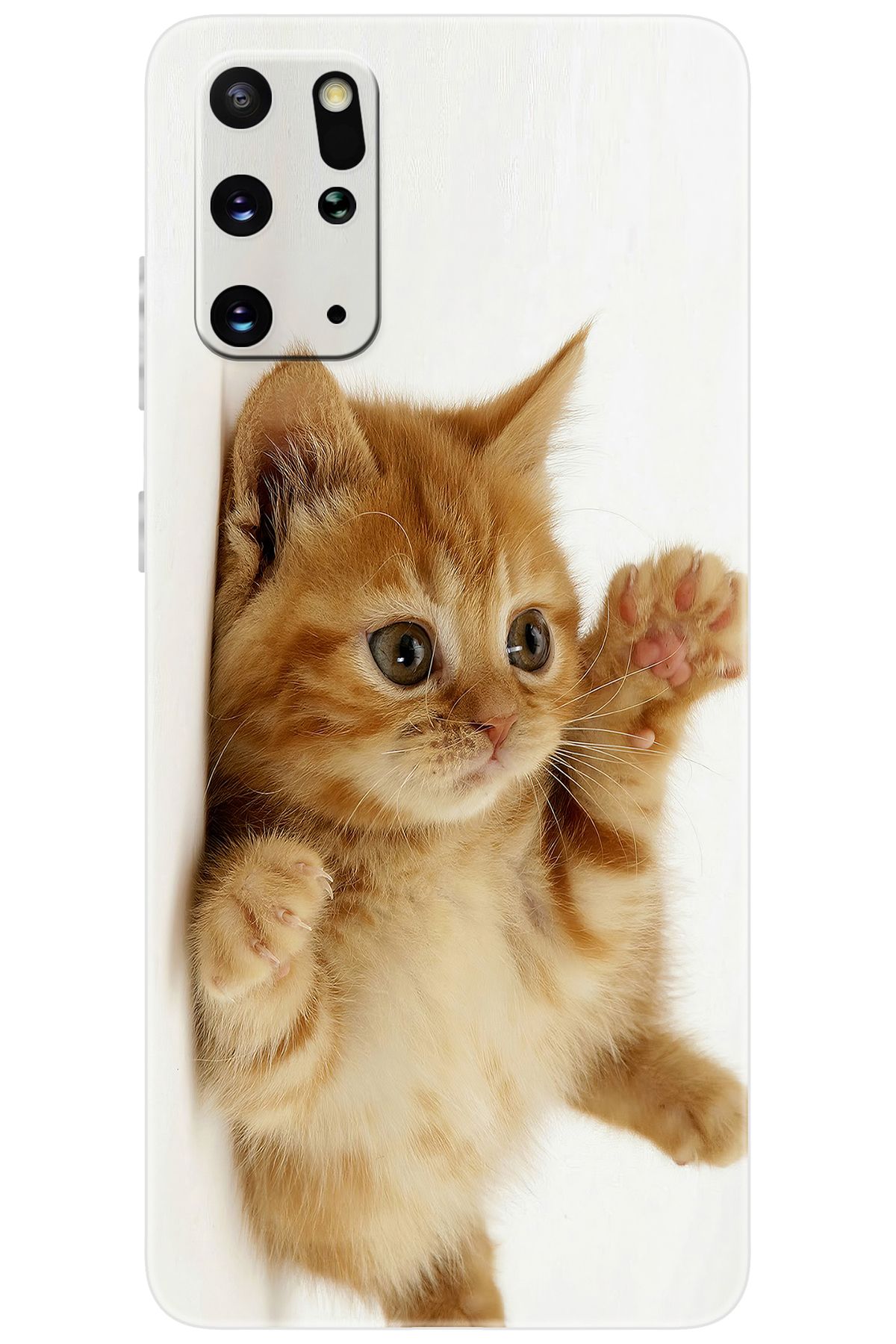 Ceppare Samsung Galaxy S20 PLUS (SM-G985F) Uyumlu Kılıf Desen Baskı Silikon Sevimli Kedi STK:205 CP-okc98Cq