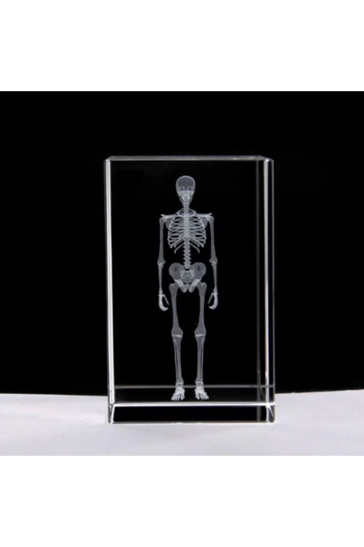 hayalimsah 3D Kristal İnsan İskeleti Modeli