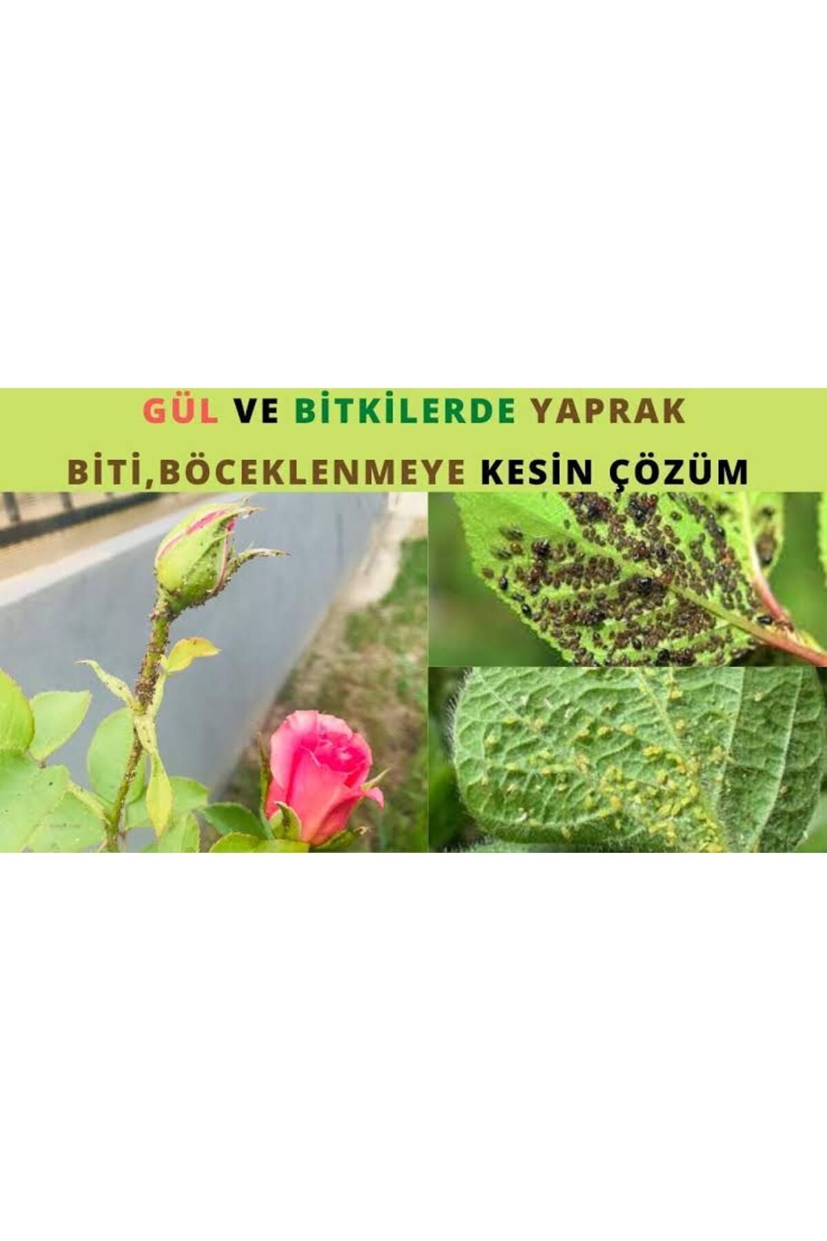 MOONMİTE Yaprak Bitleri Ilacı