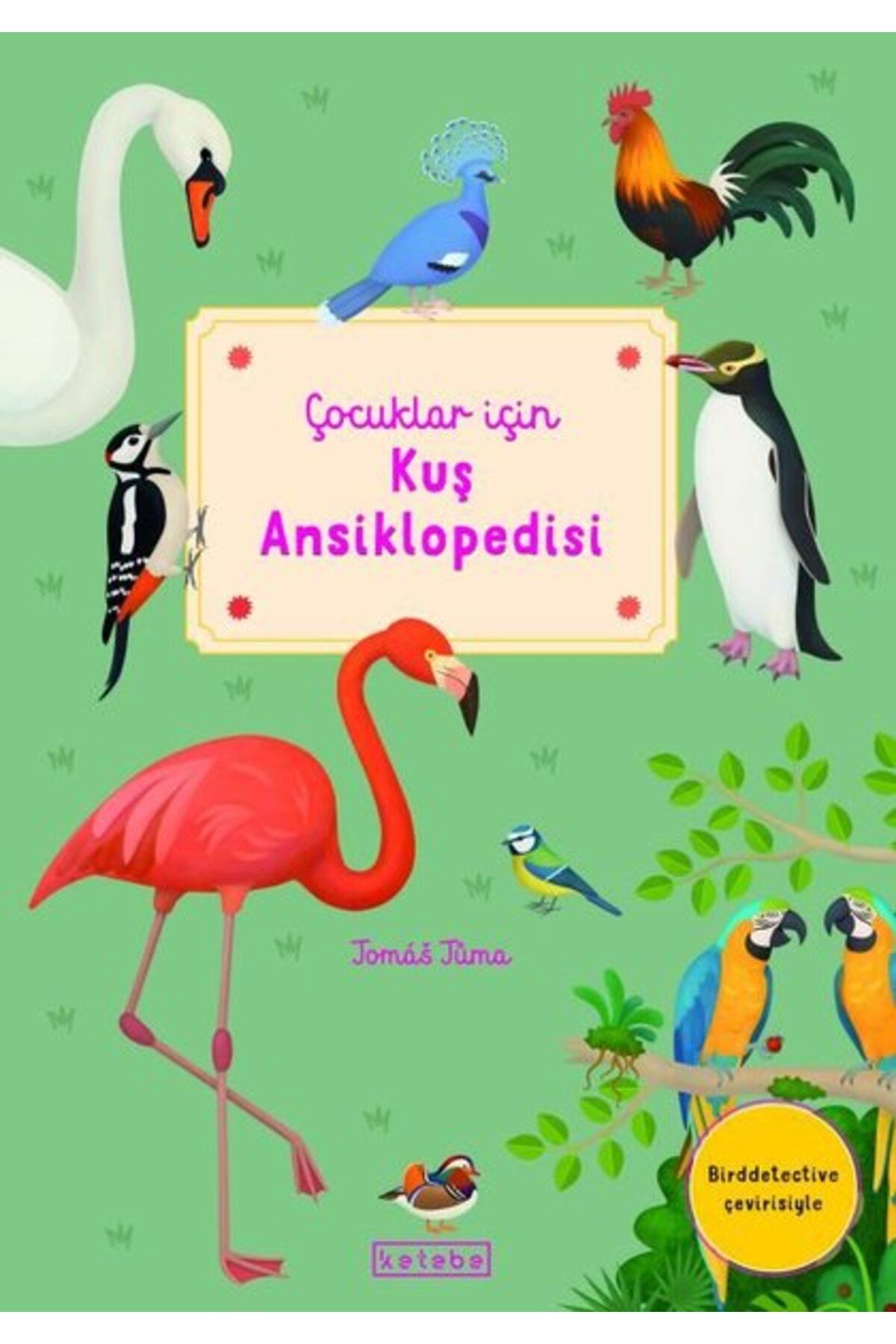 Ketebe Yayınları Kuş Ansiklopedisi - Çocuklar İçin