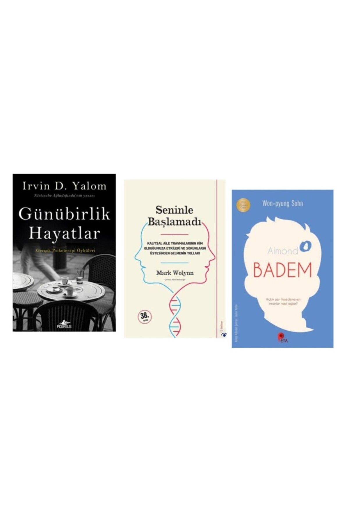 Pegasus Yayınları Günübirlik Hayatlar - Seninle Başlamadı - (Badem Kitabı HEDİYE)
