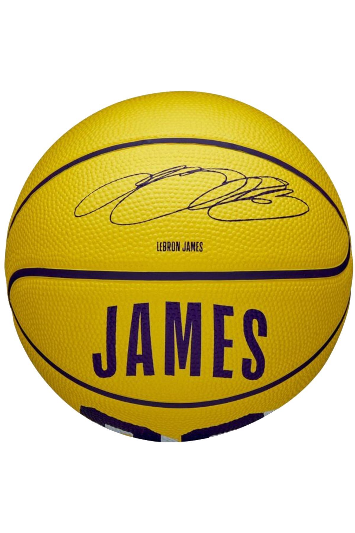 Wilson-Mini minge NBA Player Icon LeBron James, minge de baschet unisex 1