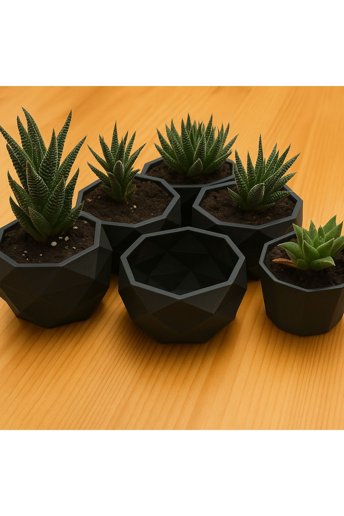 Dekoratif Geometrik Sukulent Saksısı – Modern Tasarım