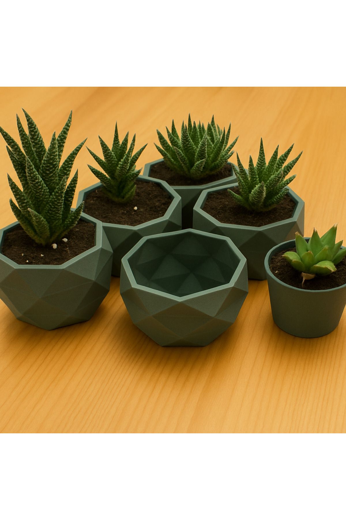 Dekoratif Geometrik Sukulent Saksısı – Modern Tasarım