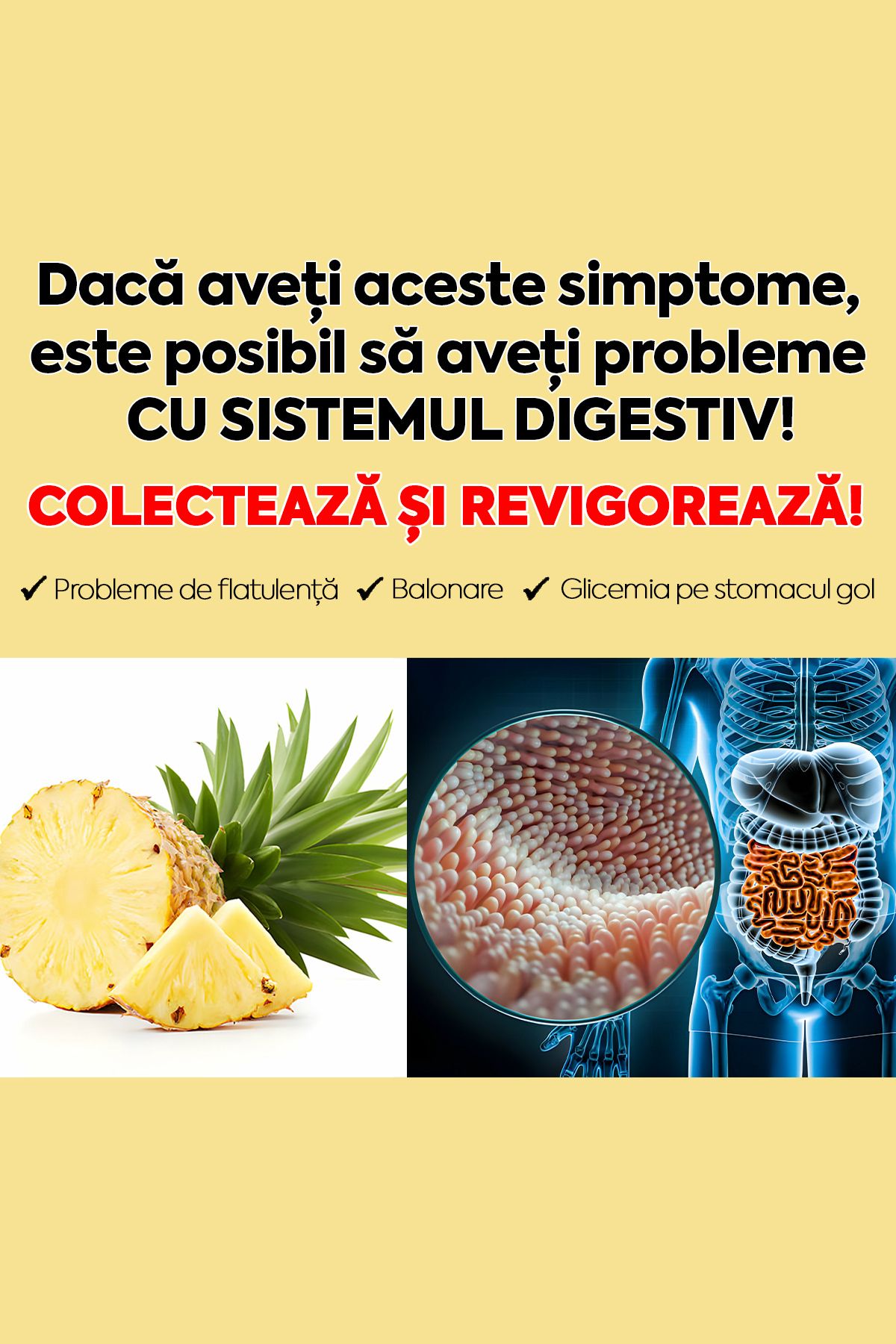 Zühre Ana-Natural Syrup With Bromelain 250ml – Reduces Inflammation, Supports Digestion and Eliminates Edema 7