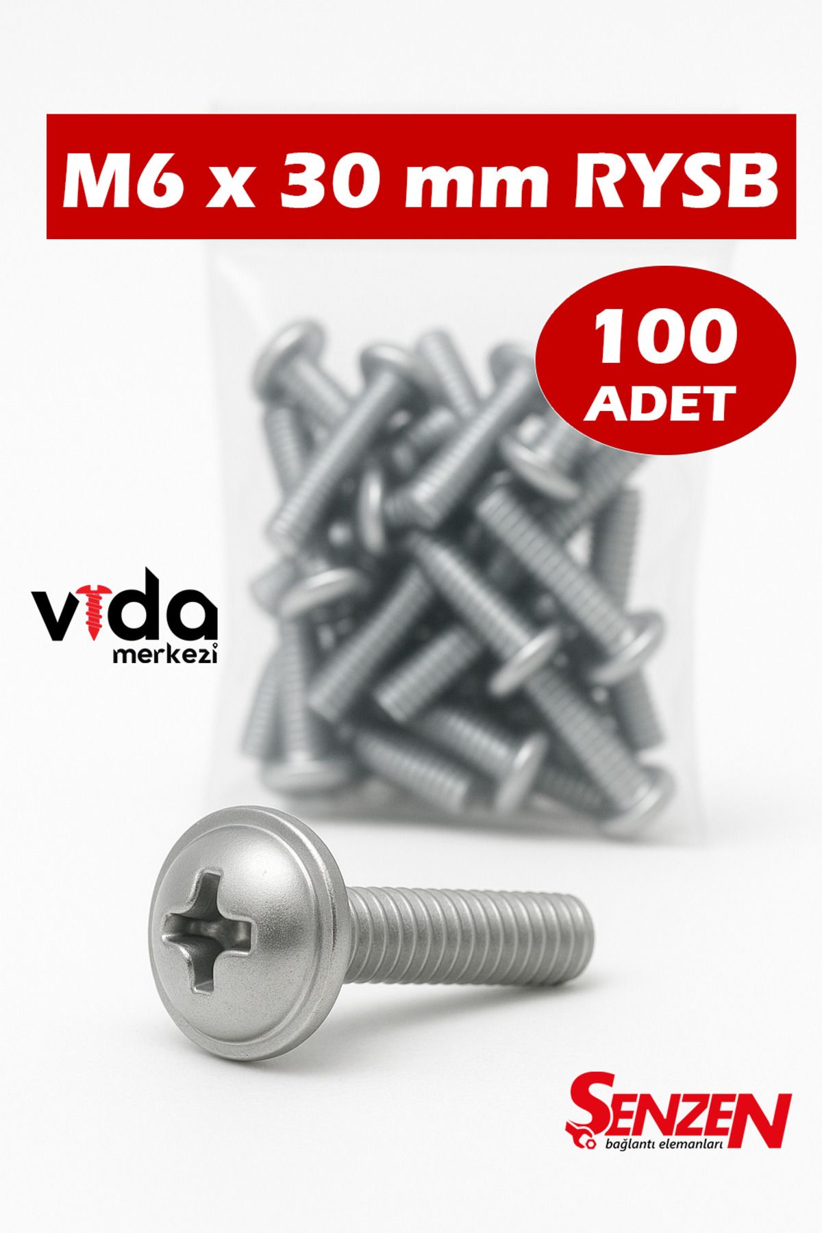Şenzen M6x30 Pul Başlı RYSB Vida – 100’lü