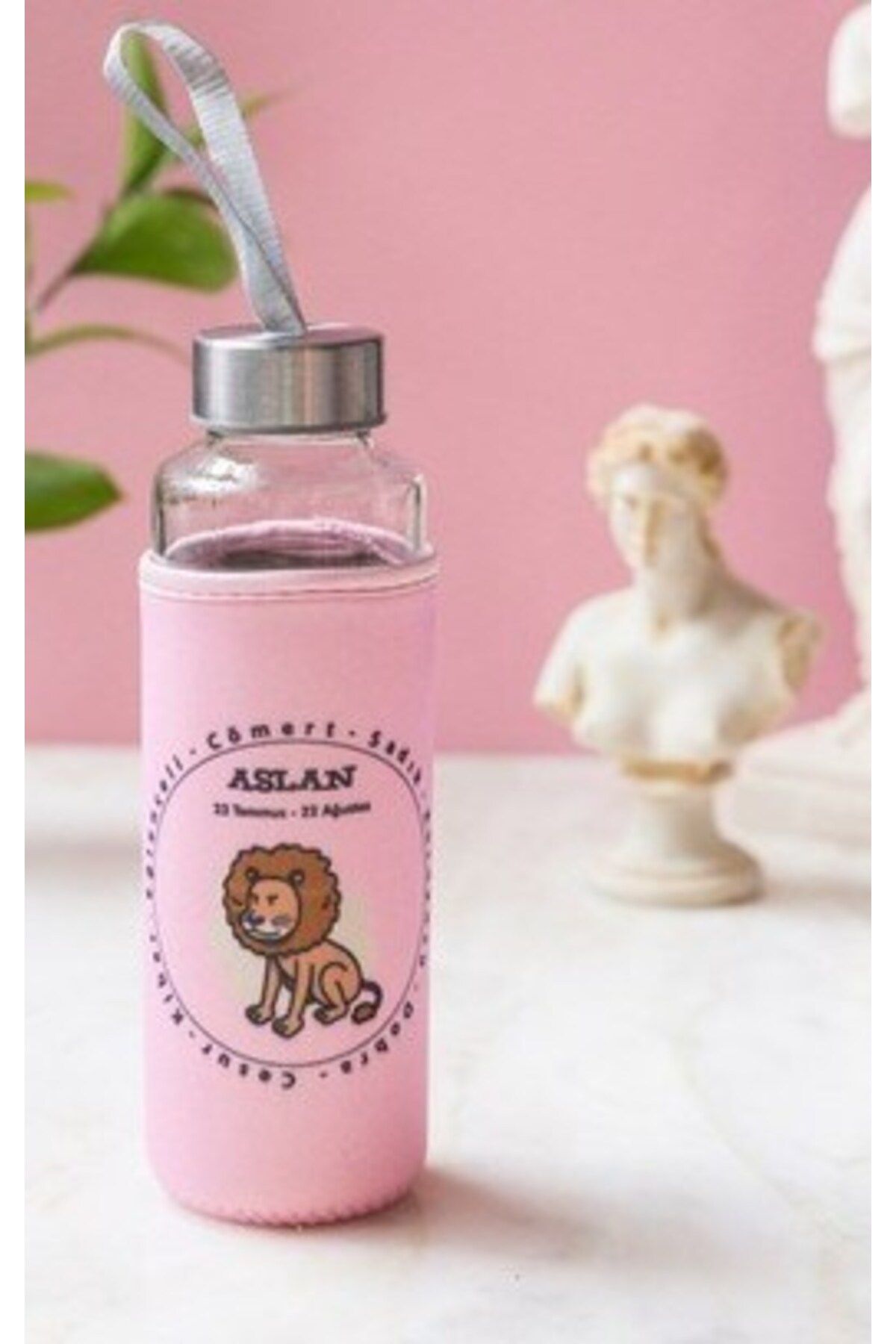 TEKNO İSTANBUL Tekno Istanbul Burç Kılıflı Matara 400 ml Aslan Pembe
