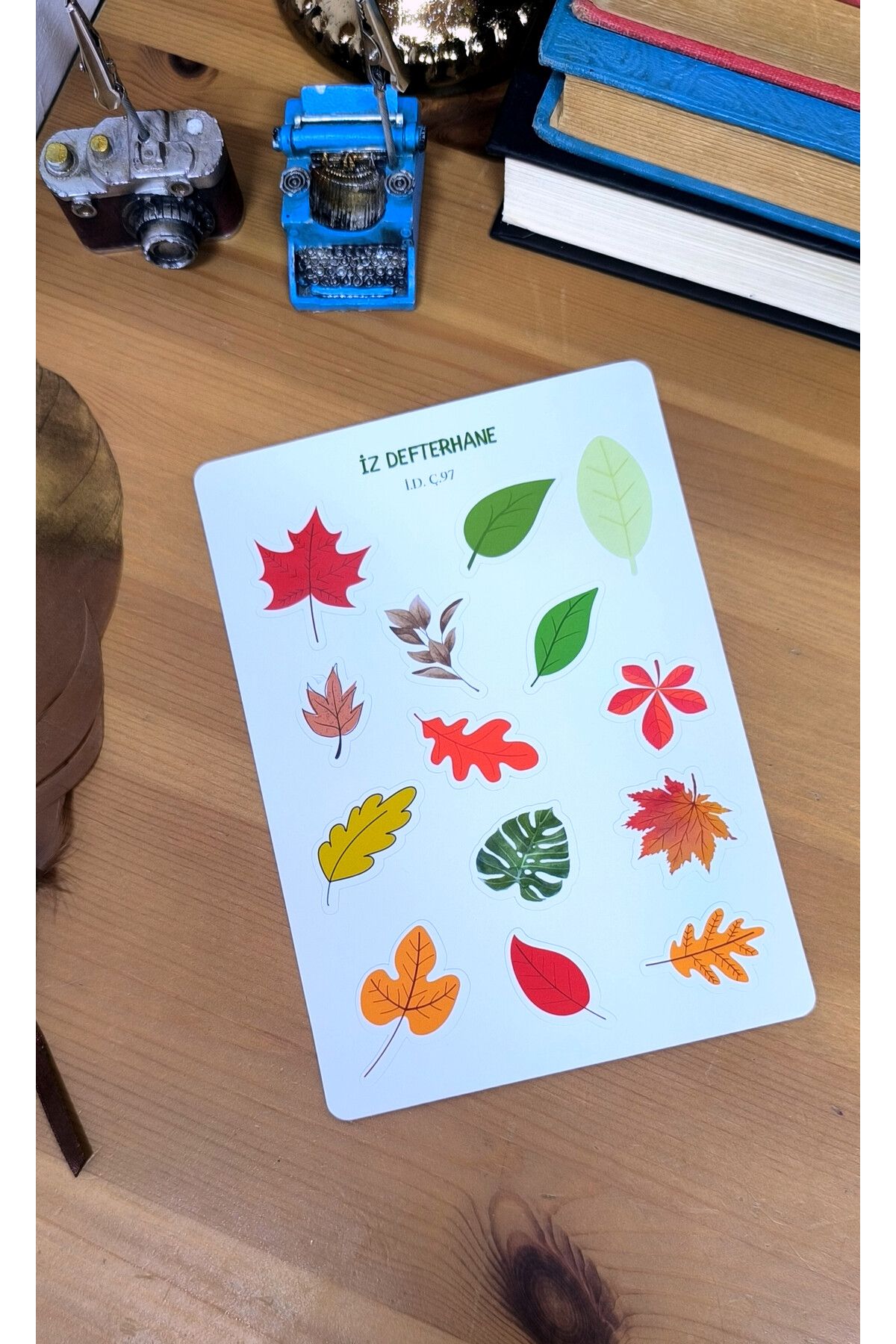 İZ DEFTERHANE Sonbahar Yaprak Çıkartma Sticker (Defter, ajanda ve planlayıcılar için uygundur)