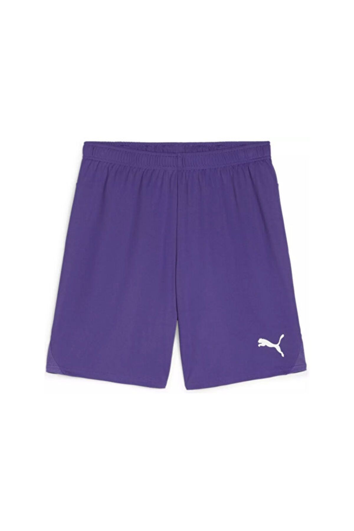 Puma Teamgoal Shorts Erkek Futbol Antrenman Şortu 70575210 Mor