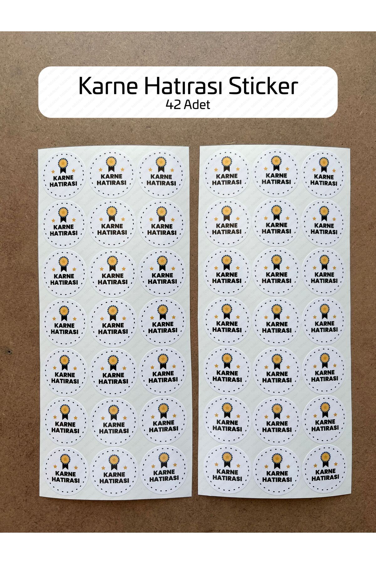 hdsticker 42 Adet Karne Hatırası Sticker İyi Tatiller Öğretmen Etiketi Mezuniyet Hatırası Okul Hediye 3 cm 8