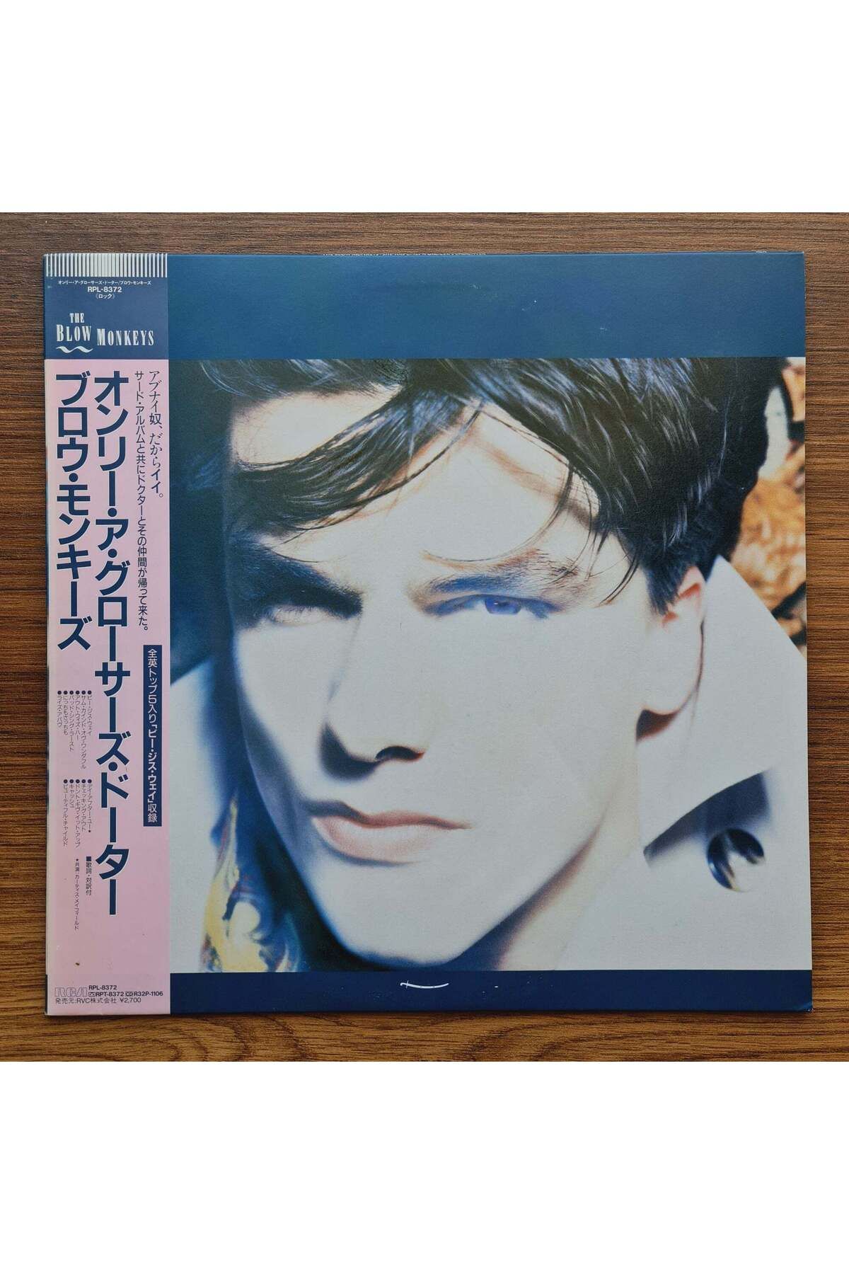 Only Japan Vinyl The Blow Monkeys – She Was Only A Grocer's Daughter