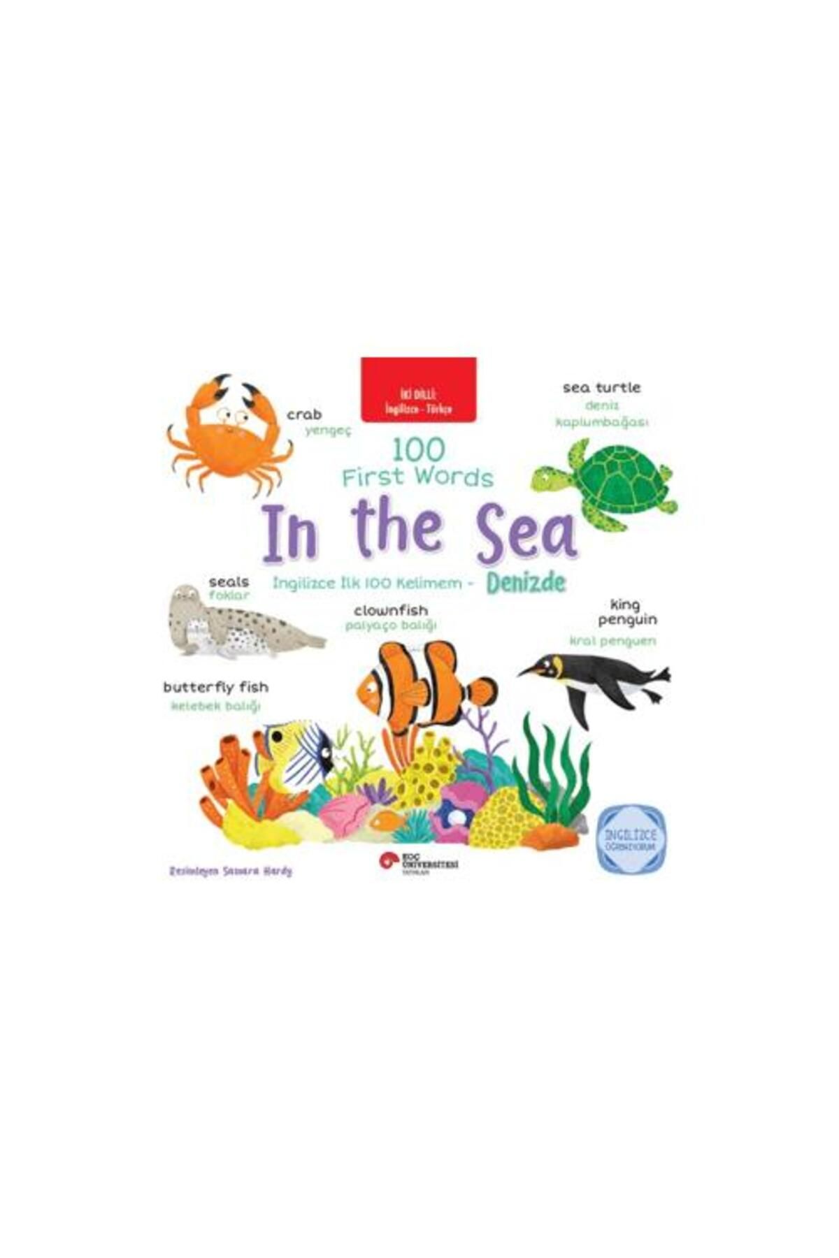 Koç Üniversitesi Yayınları First Words In the Sea / İngilizce İlk 100 Kelimem Denizde